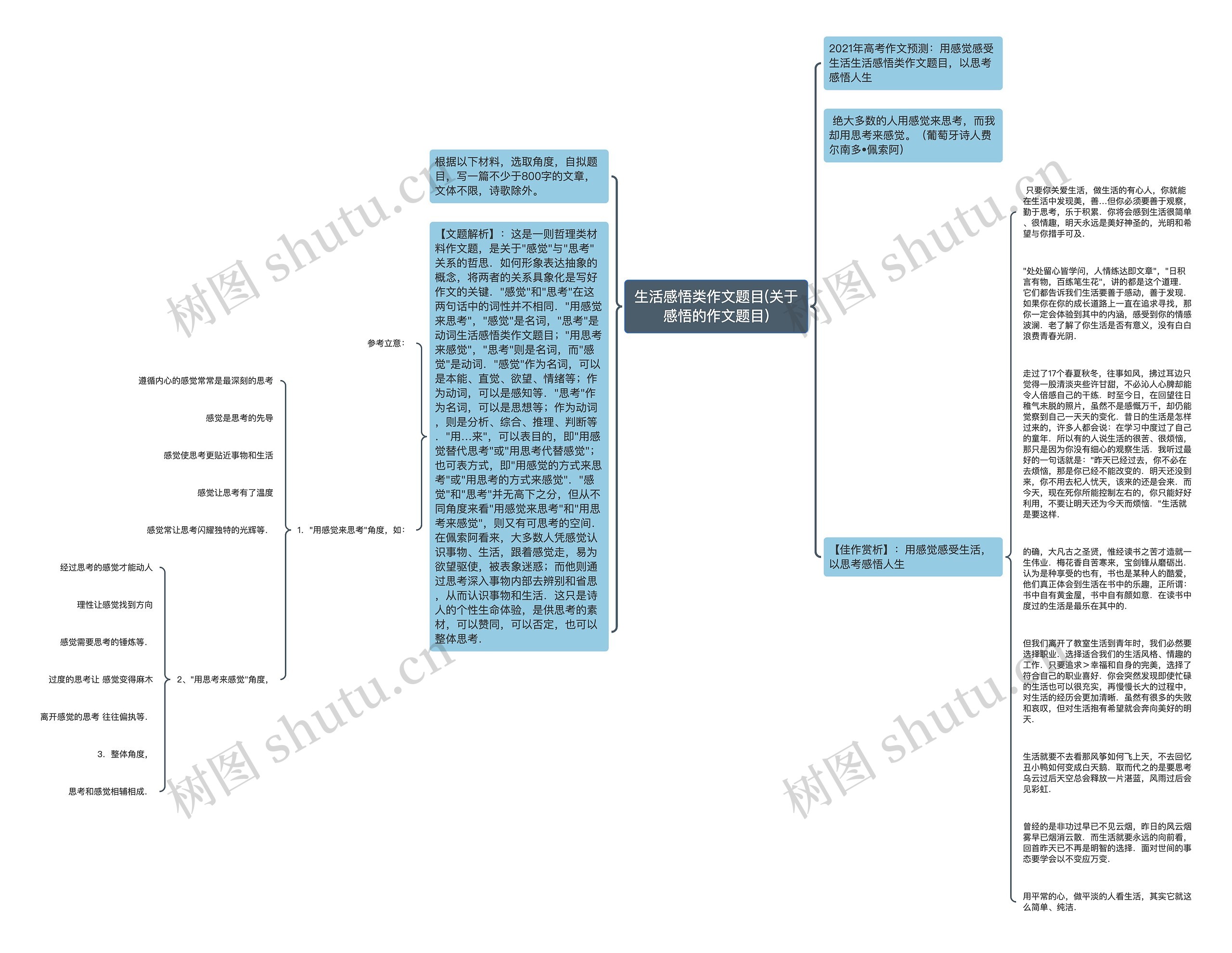 生活感悟类作文题目(关于感悟的作文题目)思维导图