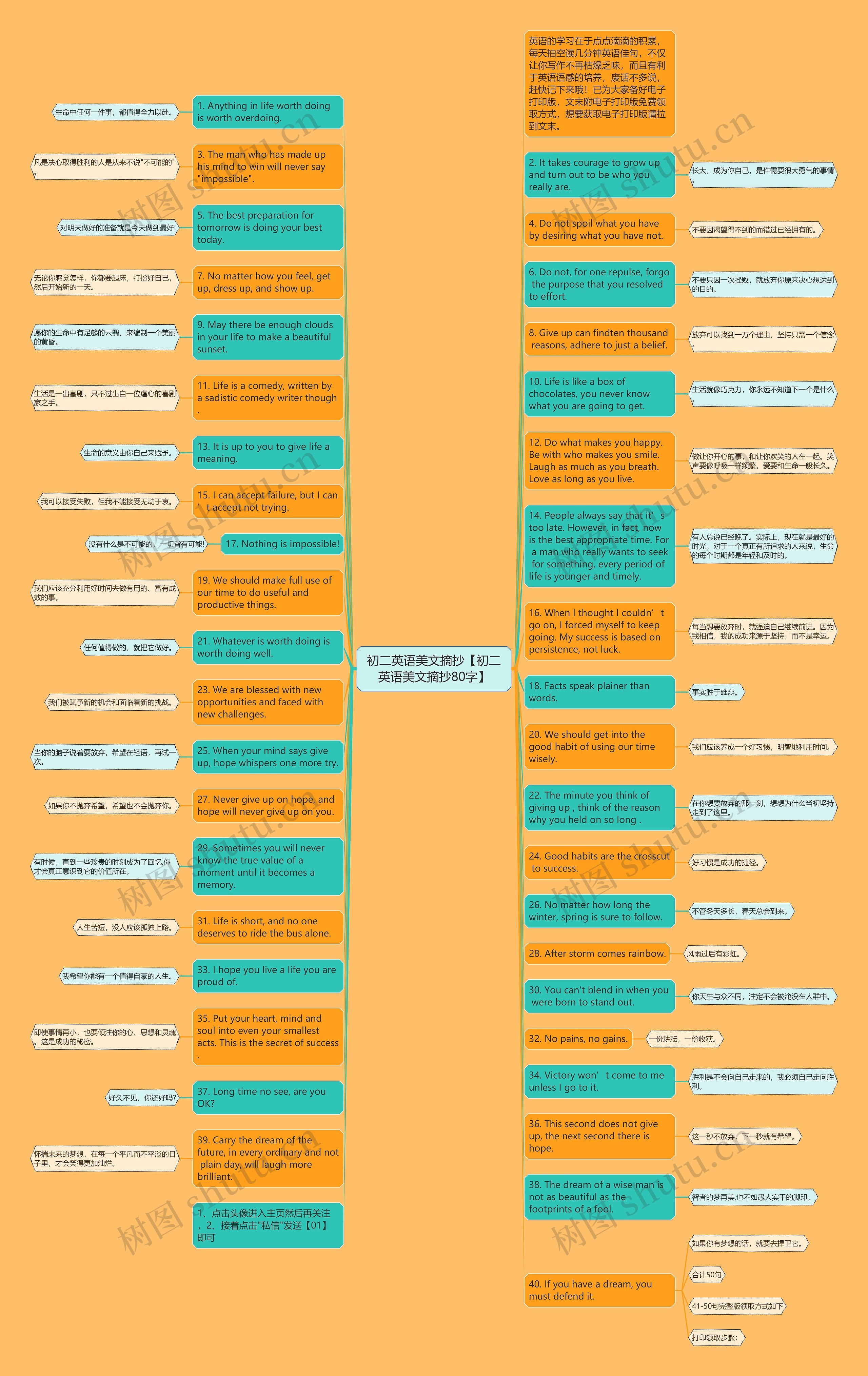 初二英语美文摘抄【初二英语美文摘抄80字】思维导图