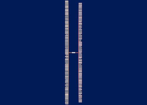 睡觉经典的句子精选205句