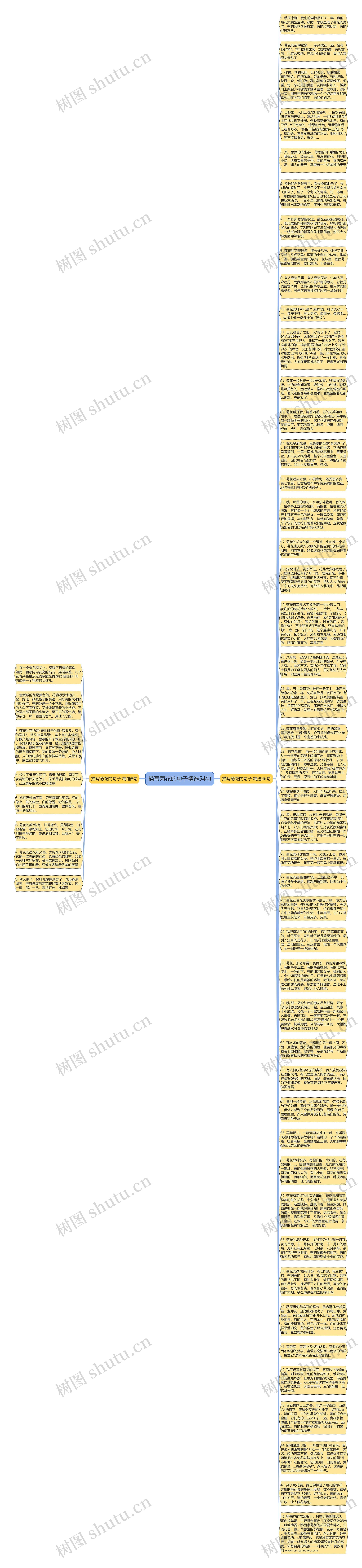 描写菊花的句子精选54句思维导图
