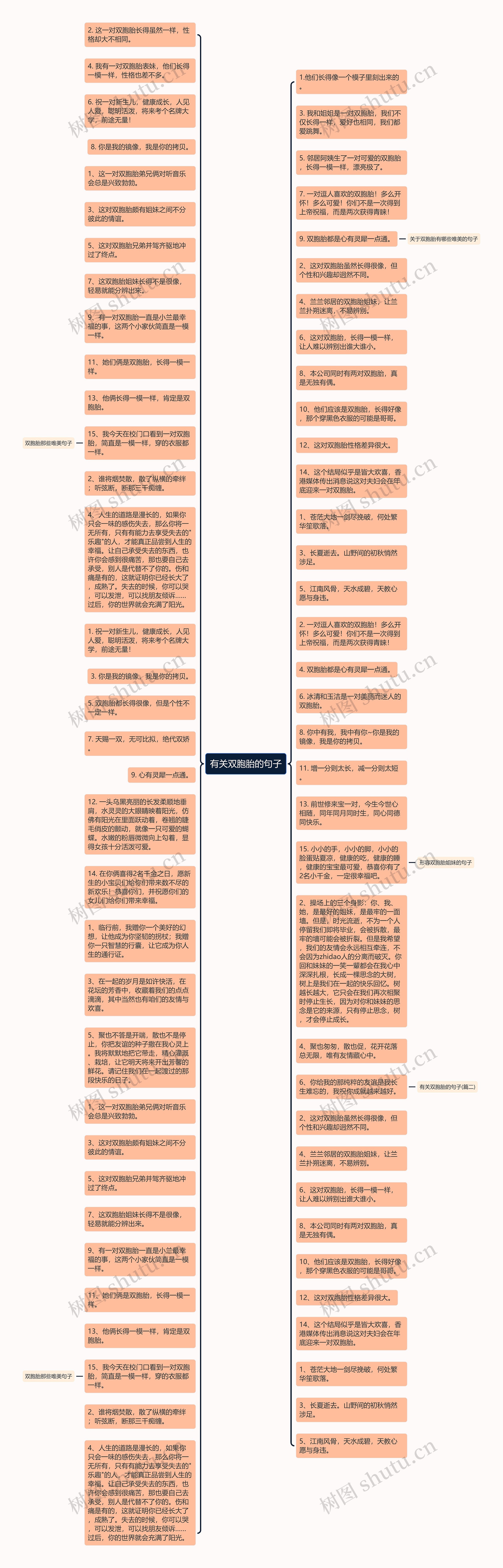 有关双胞胎的句子思维导图