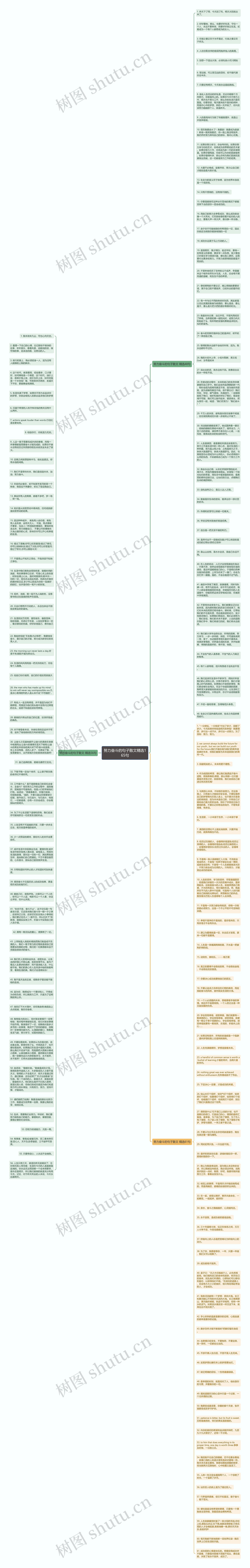 努力奋斗的句子散文精选165句思维导图