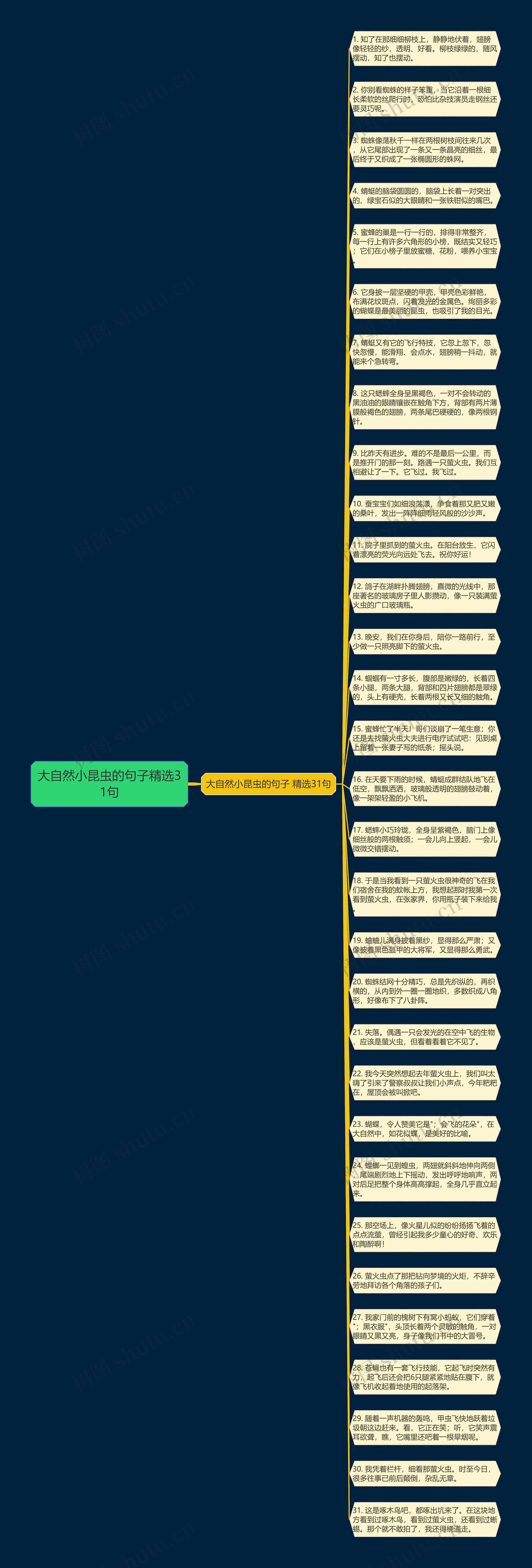 大自然小昆虫的句子精选31句思维导图