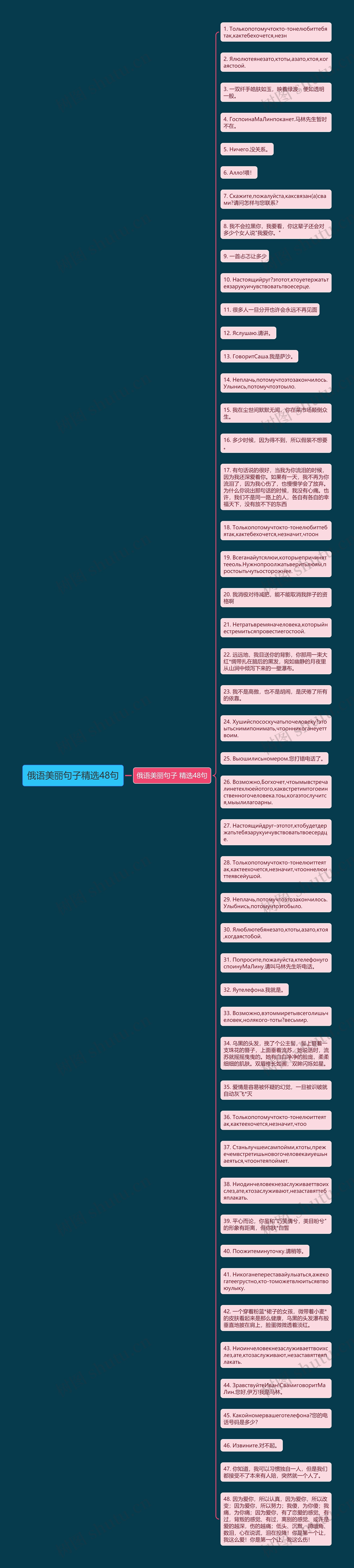 俄语美丽句子精选48句思维导图