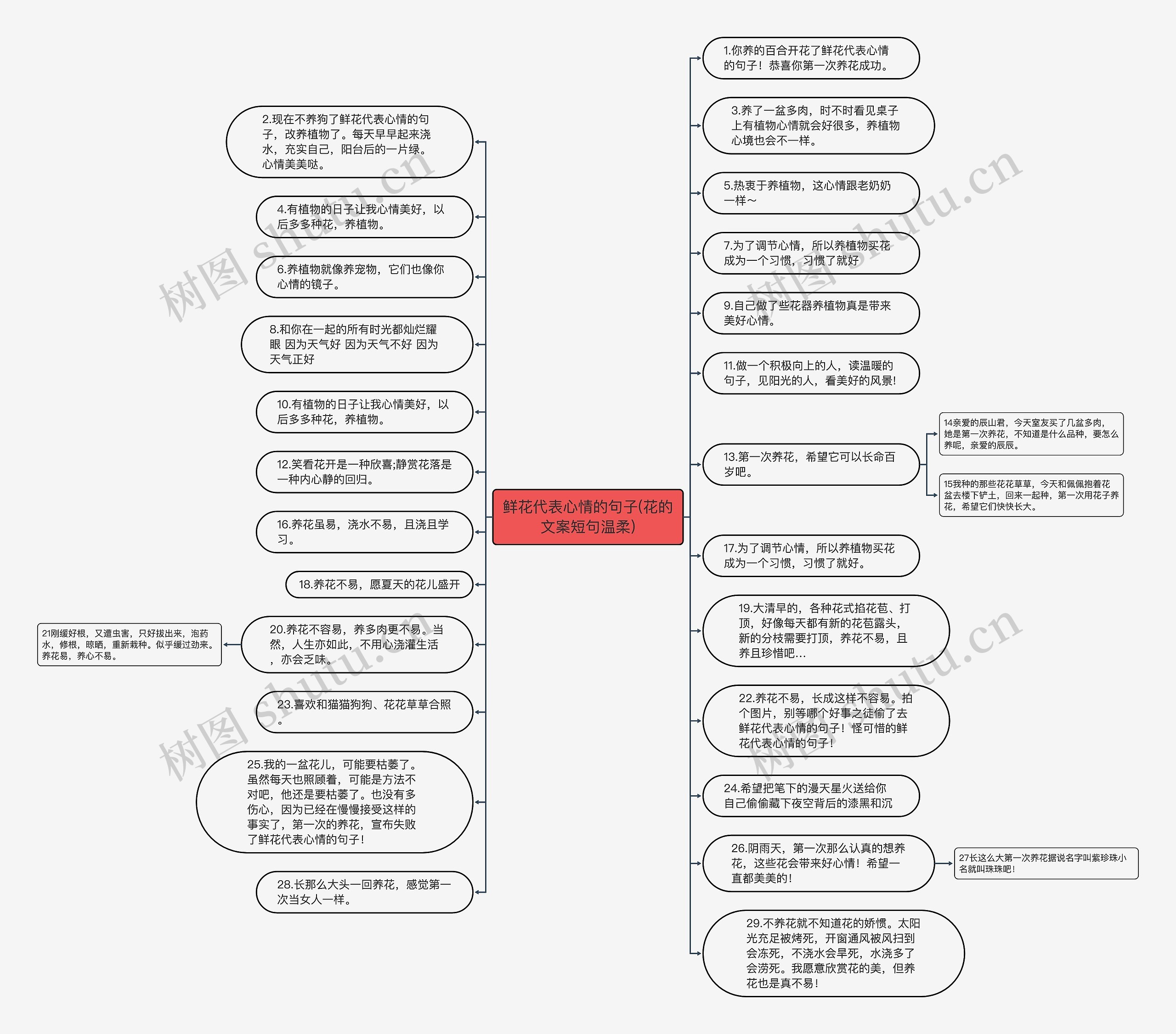 鲜花代表心情的句子(花的文案短句温柔)思维导图