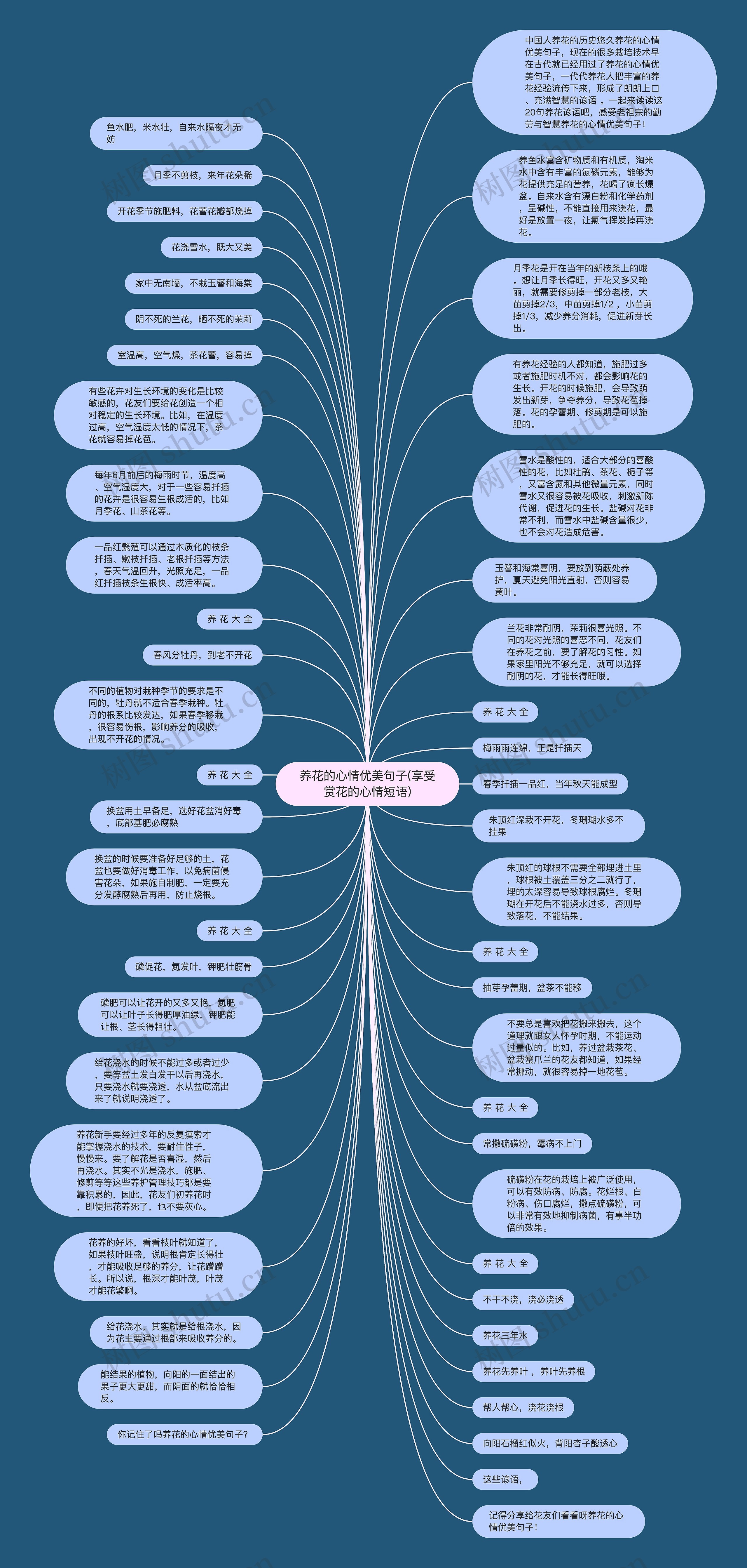 养花的心情优美句子(享受赏花的心情短语)思维导图