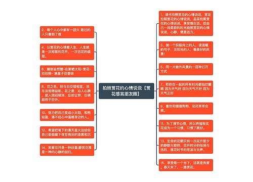 拍照赏花的心情说说【赏花感言朋友圈】