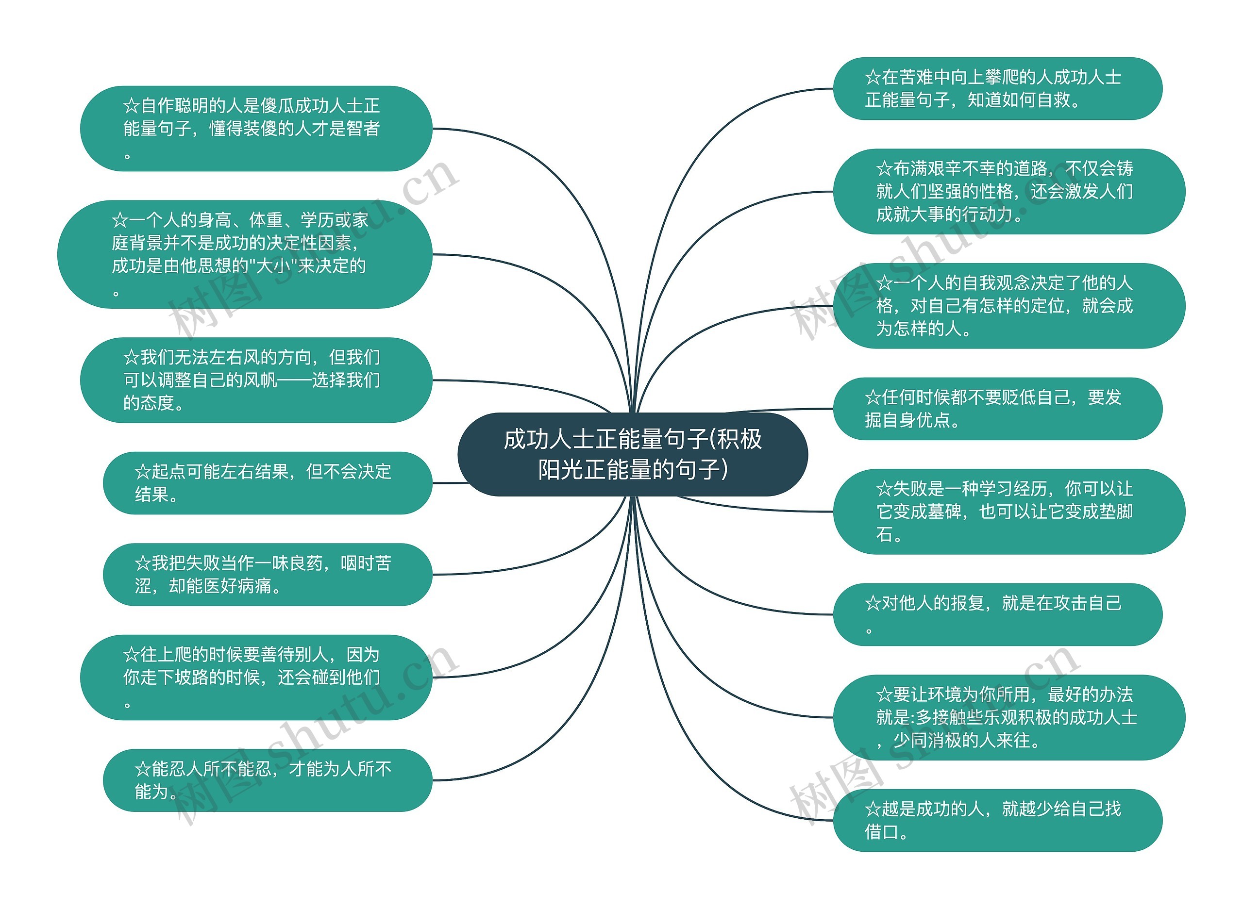 成功人士正能量句子(积极阳光正能量的句子)思维导图