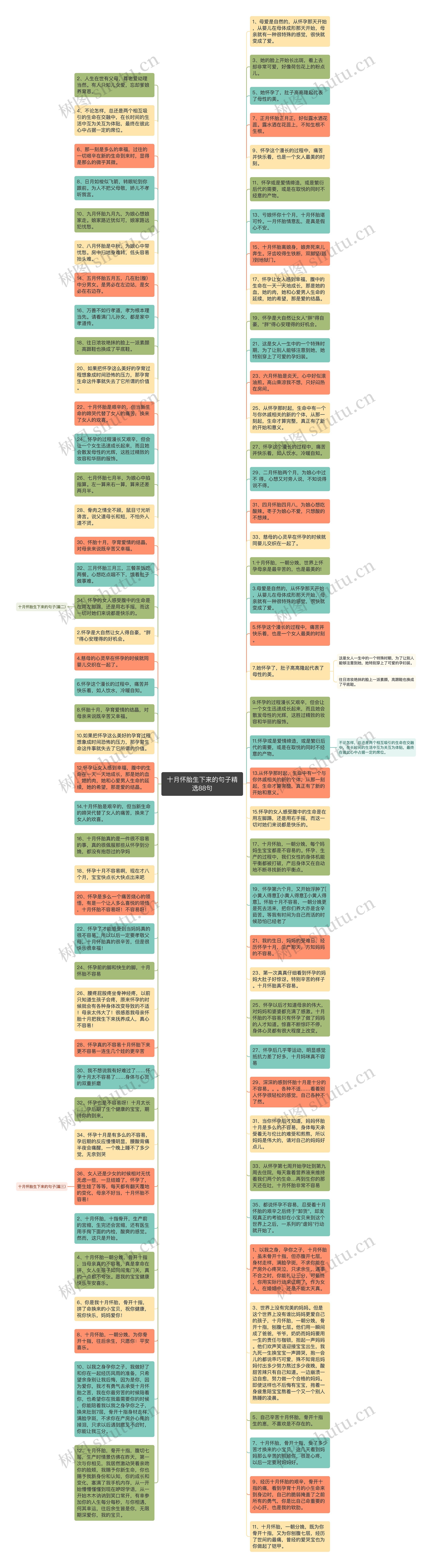 十月怀胎生下来的句子精选88句思维导图