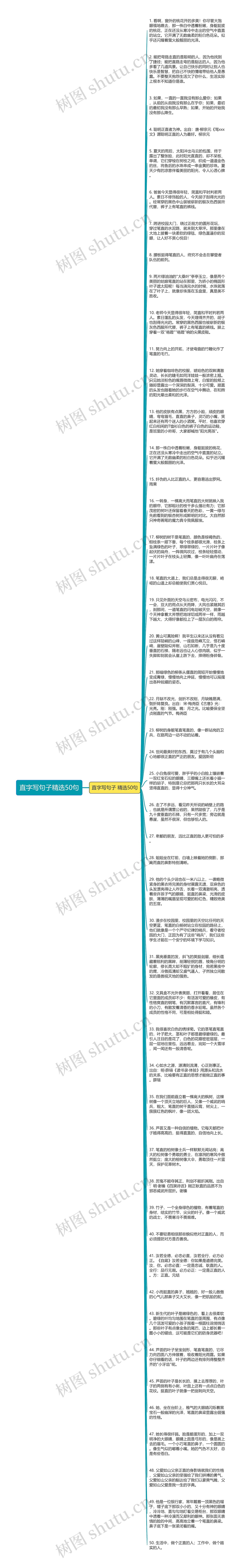 直字写句子精选50句