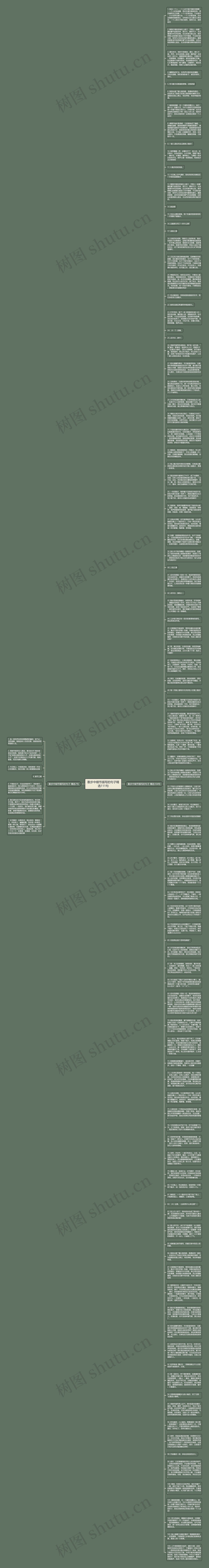 散步中细节描写的句子精选111句思维导图