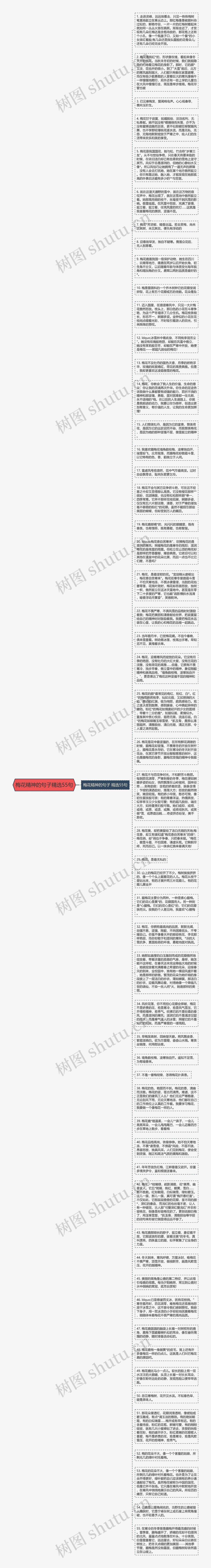 梅花精神的句子精选55句思维导图