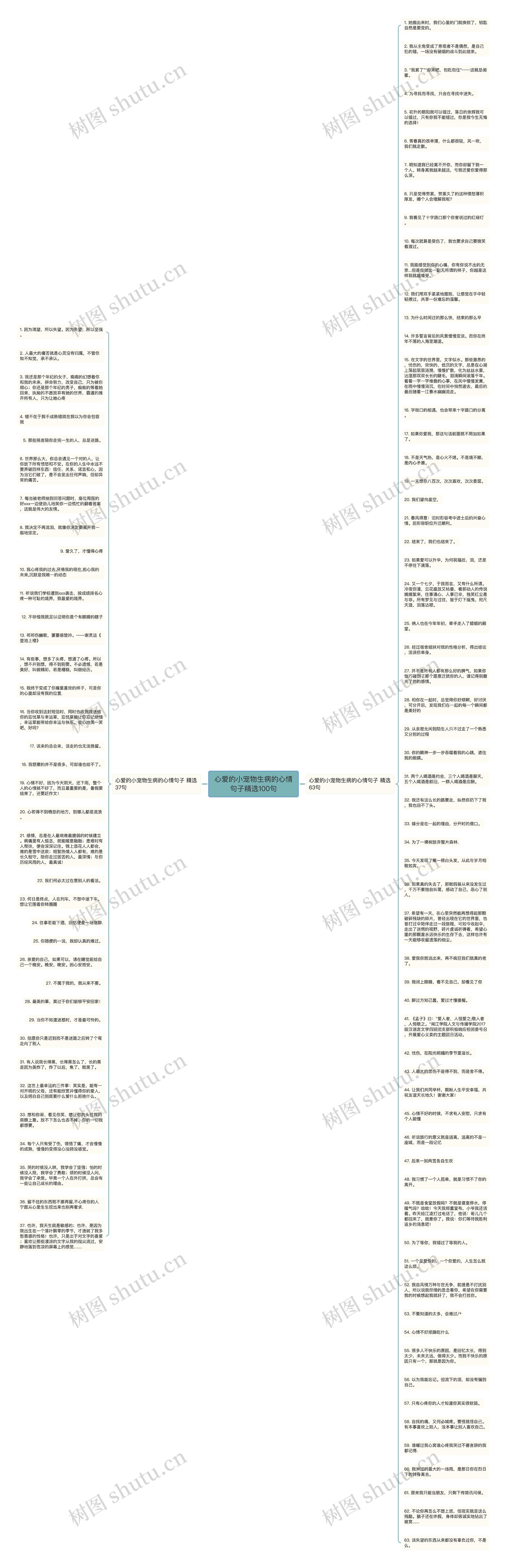 心爱的小宠物生病的心情句子精选100句思维导图
