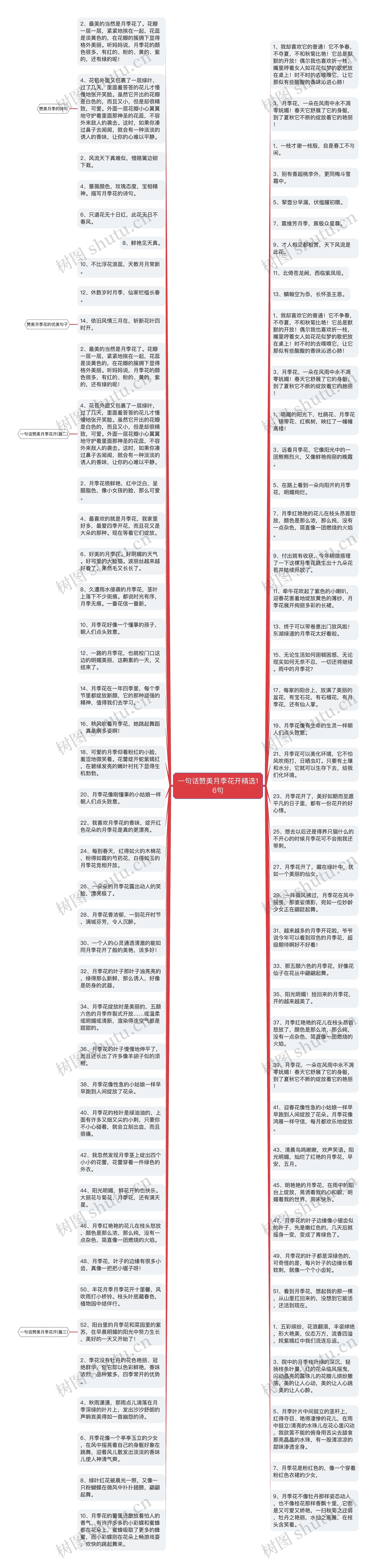 一句话赞美月季花开精选16句