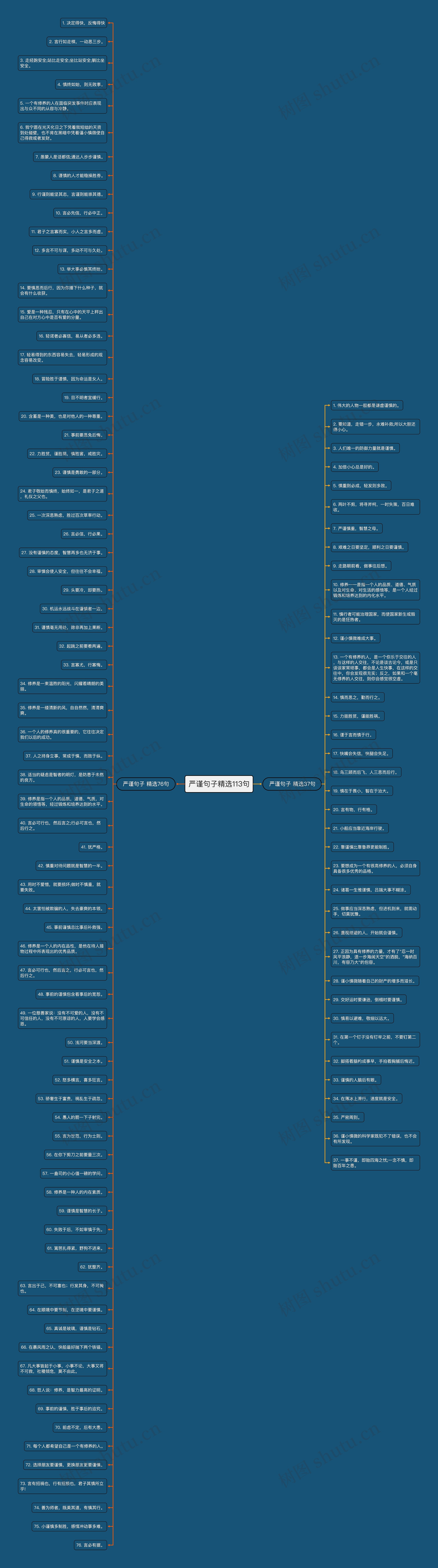 严谨句子精选113句