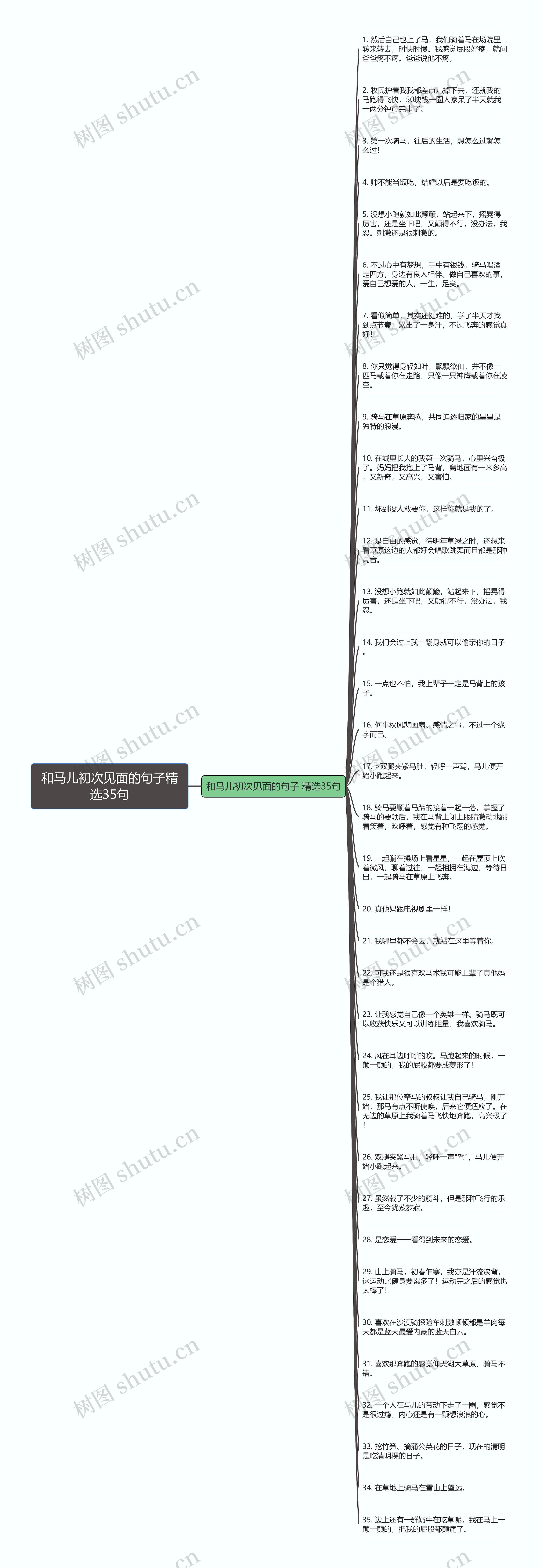 和马儿初次见面的句子精选35句