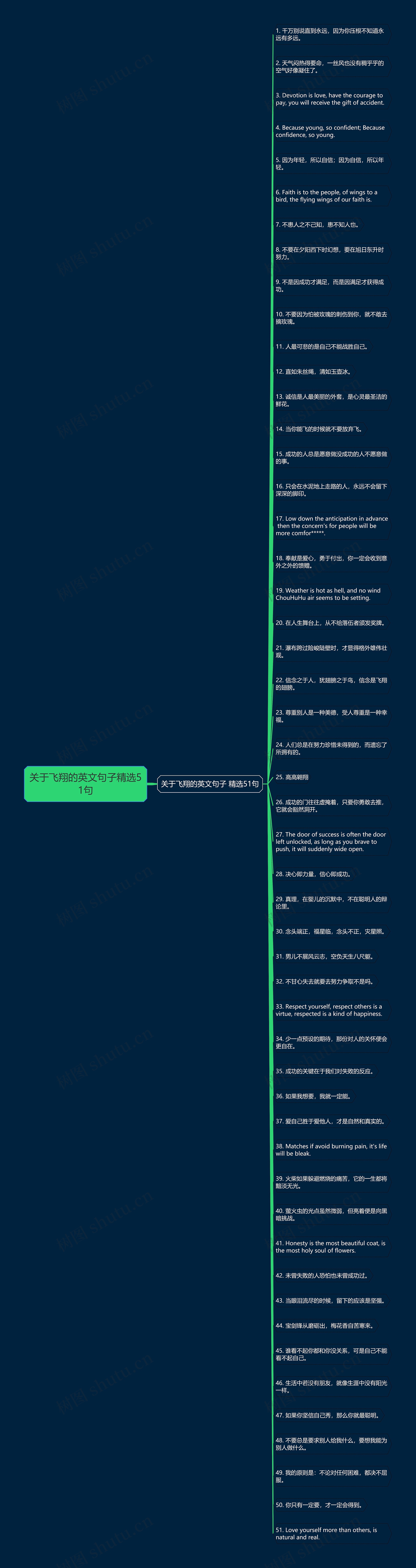 关于飞翔的英文句子精选51句思维导图