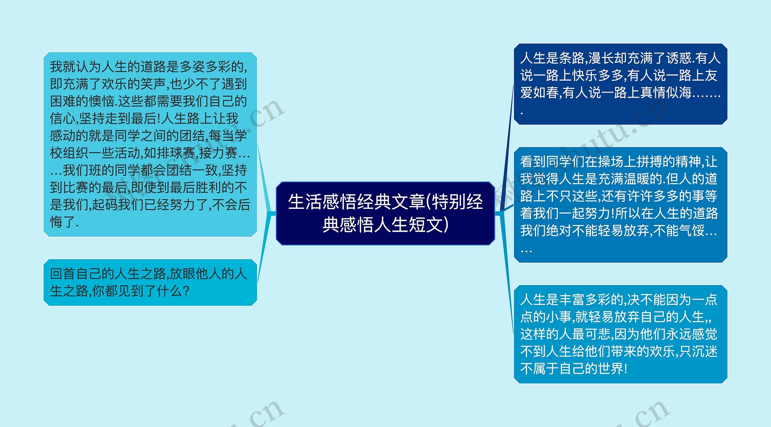 生活感悟经典文章(特别经典感悟人生短文)