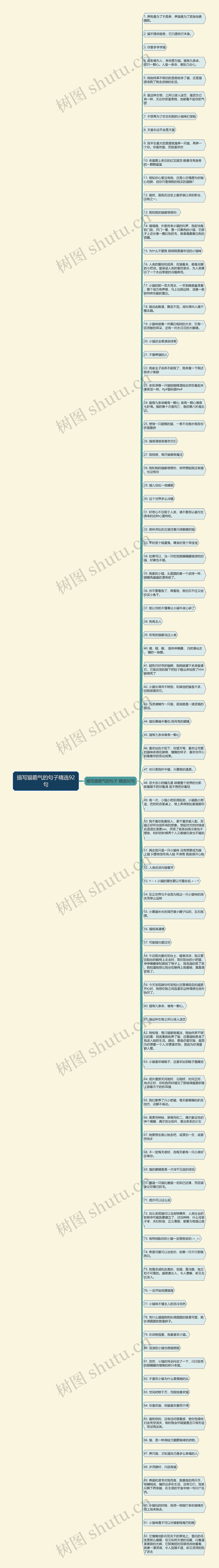 描写猫霸气的句子精选92句思维导图