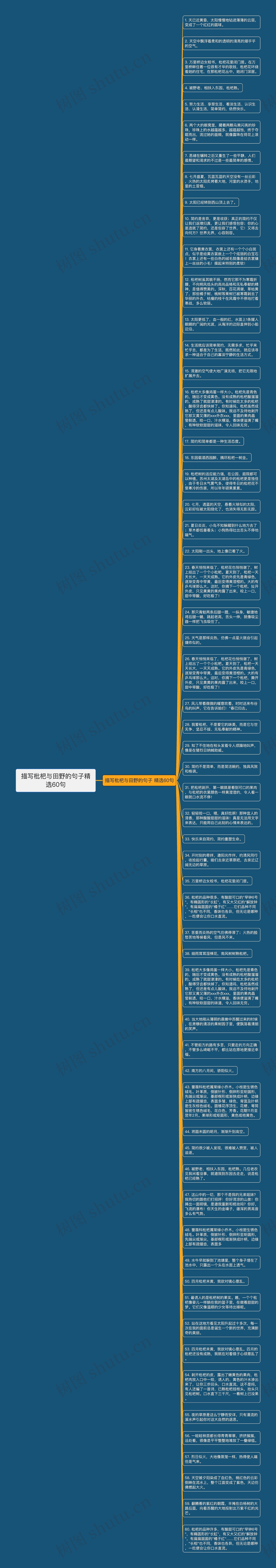 描写枇杷与田野的句子精选60句思维导图