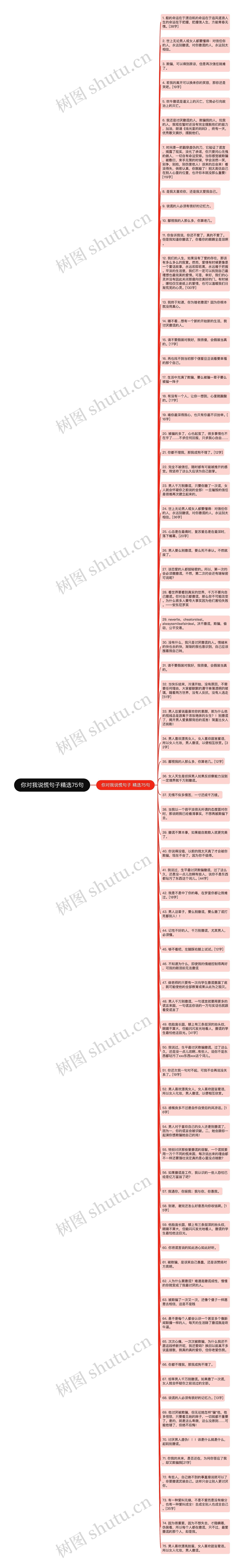 你对我说慌句子精选75句思维导图