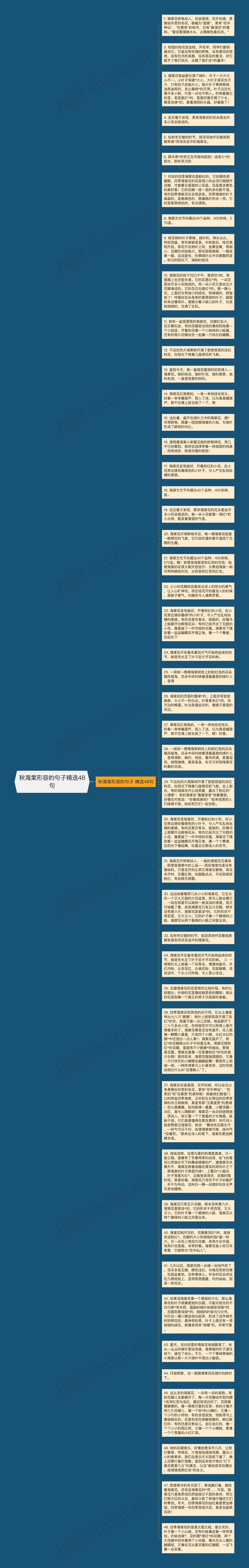 秋海棠形容的句子精选48句思维导图