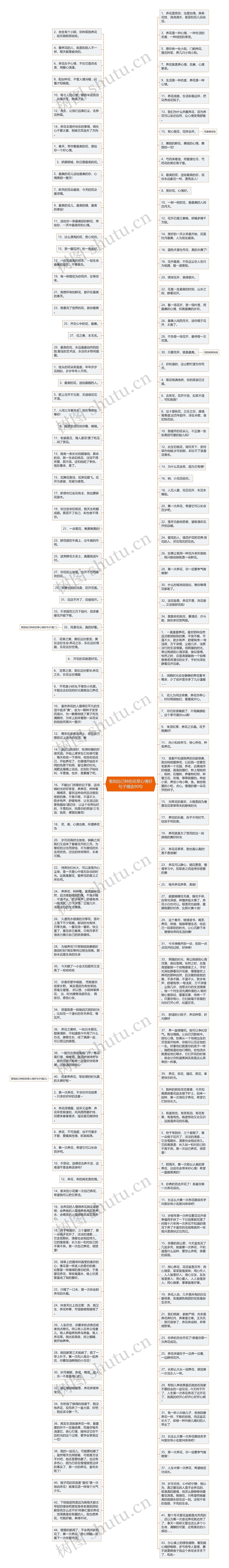 看到自己种的花草心情好句子精选90句思维导图