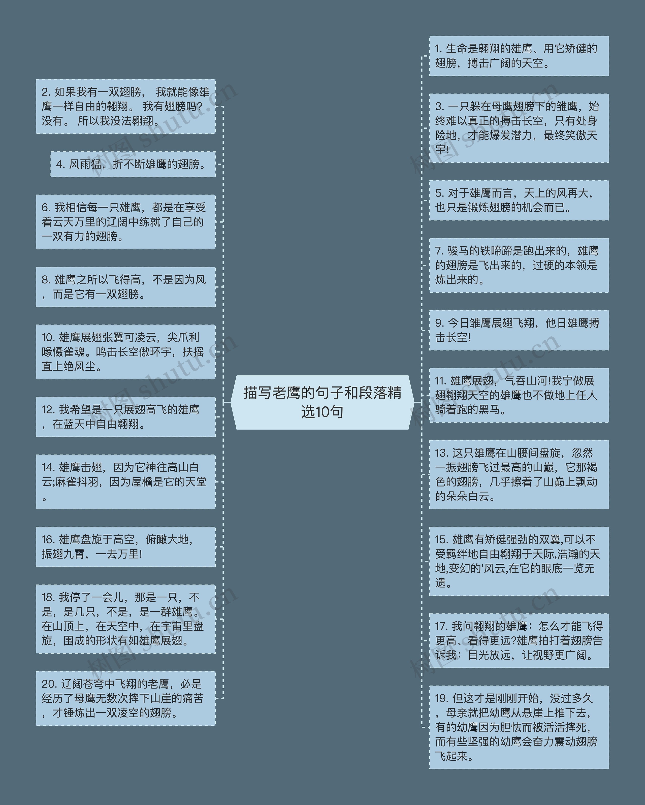 描写老鹰的句子和段落精选10句思维导图