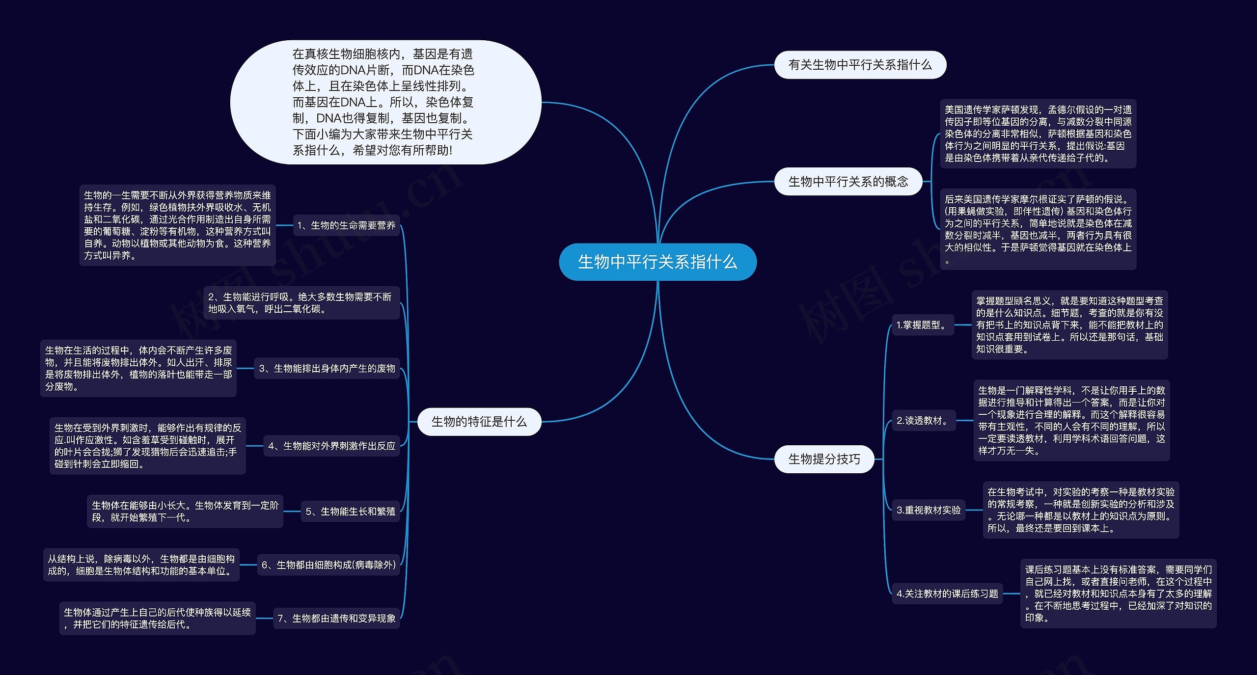 生物中平行关系指什么思维导图