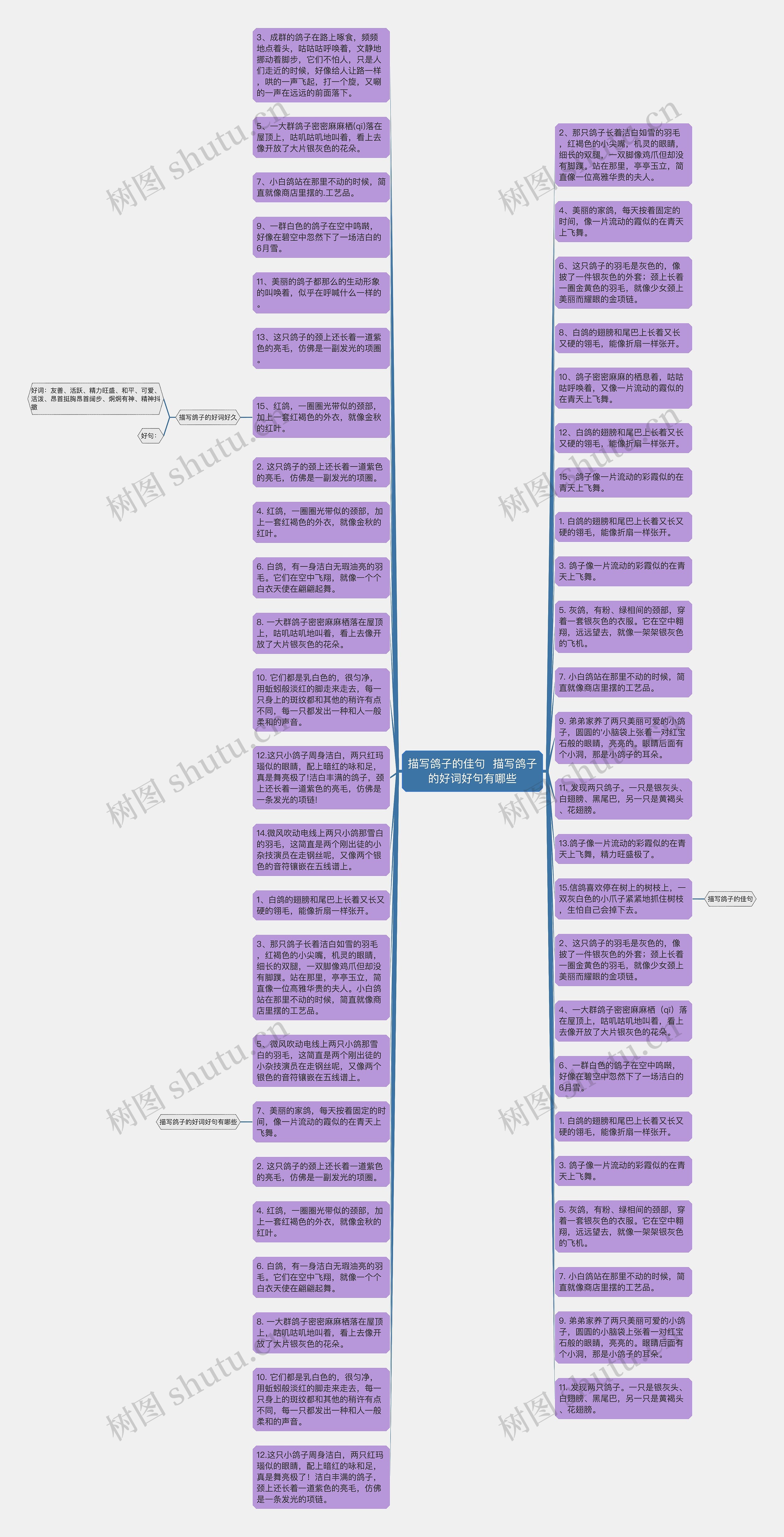 描写鸽子的佳句  描写鸽子的好词好句有哪些思维导图