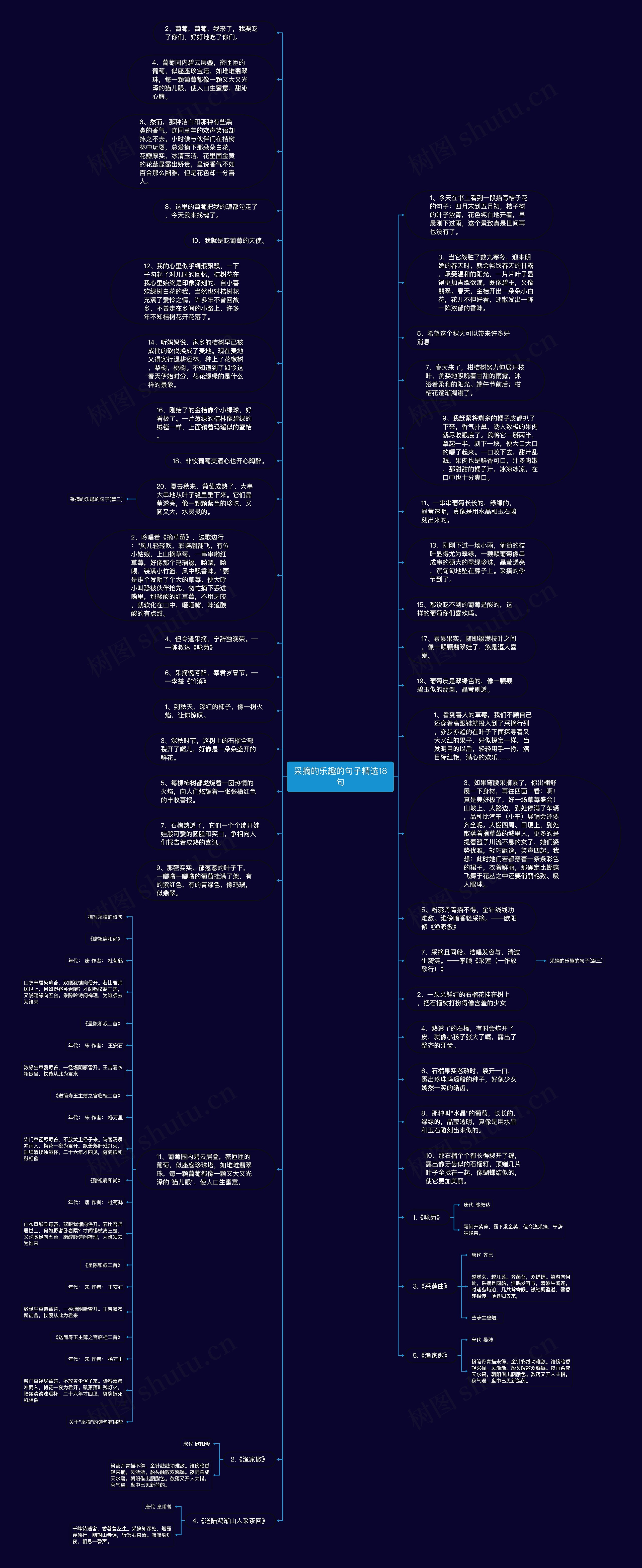 采摘的乐趣的句子精选18句思维导图