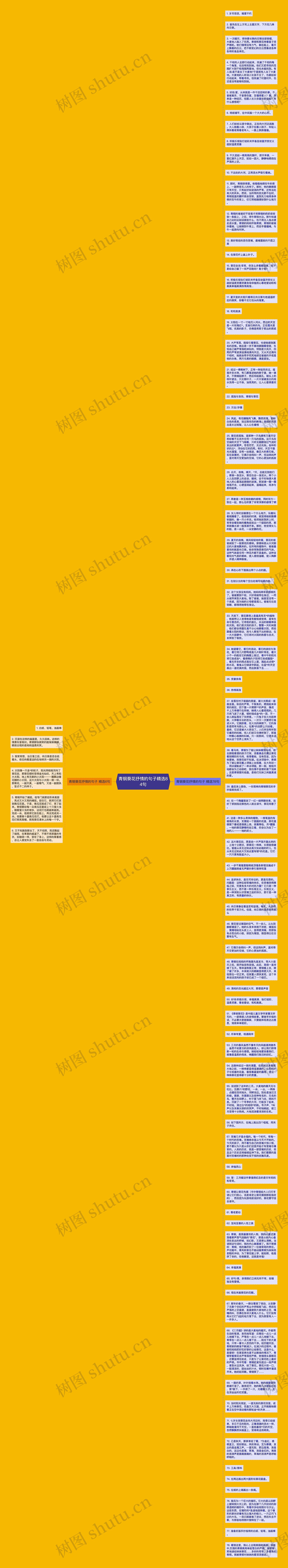 青铜葵花抒情的句子精选84句思维导图