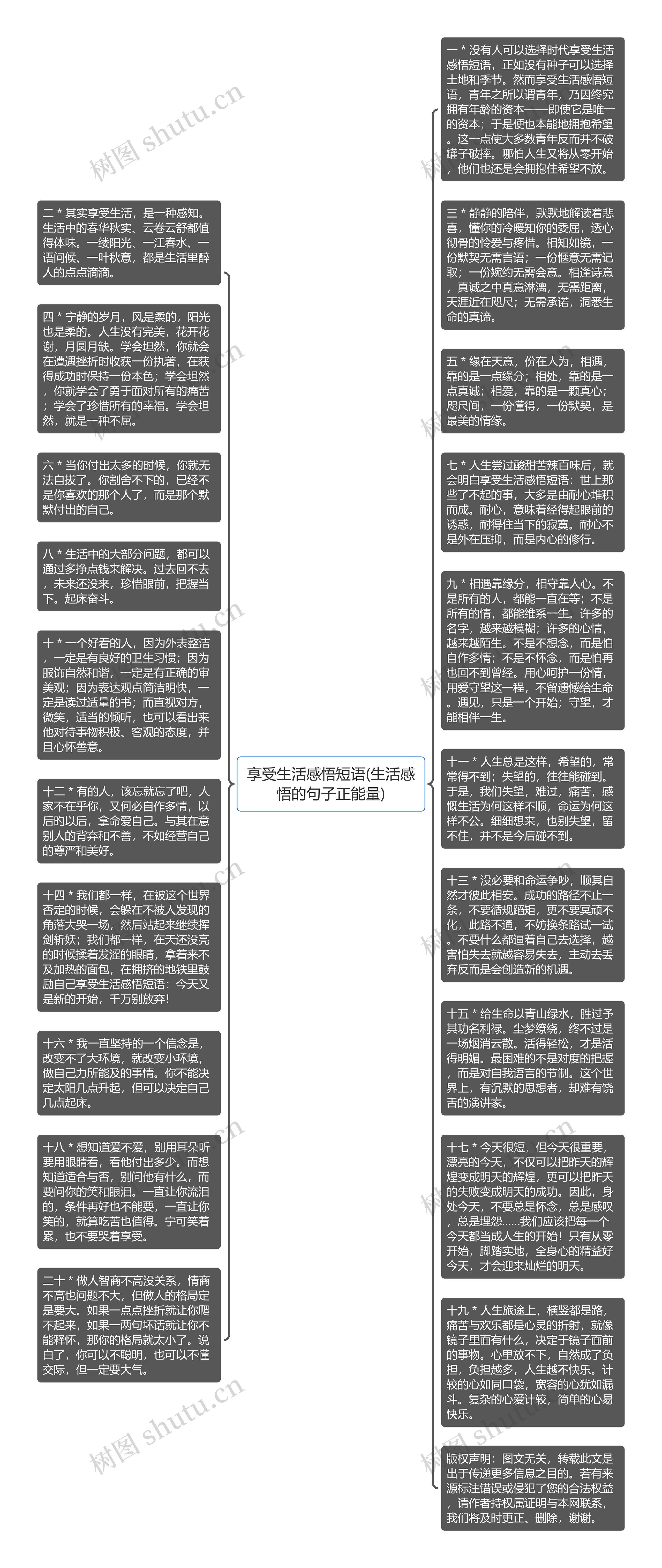 享受生活感悟短语(生活感悟的句子正能量)思维导图