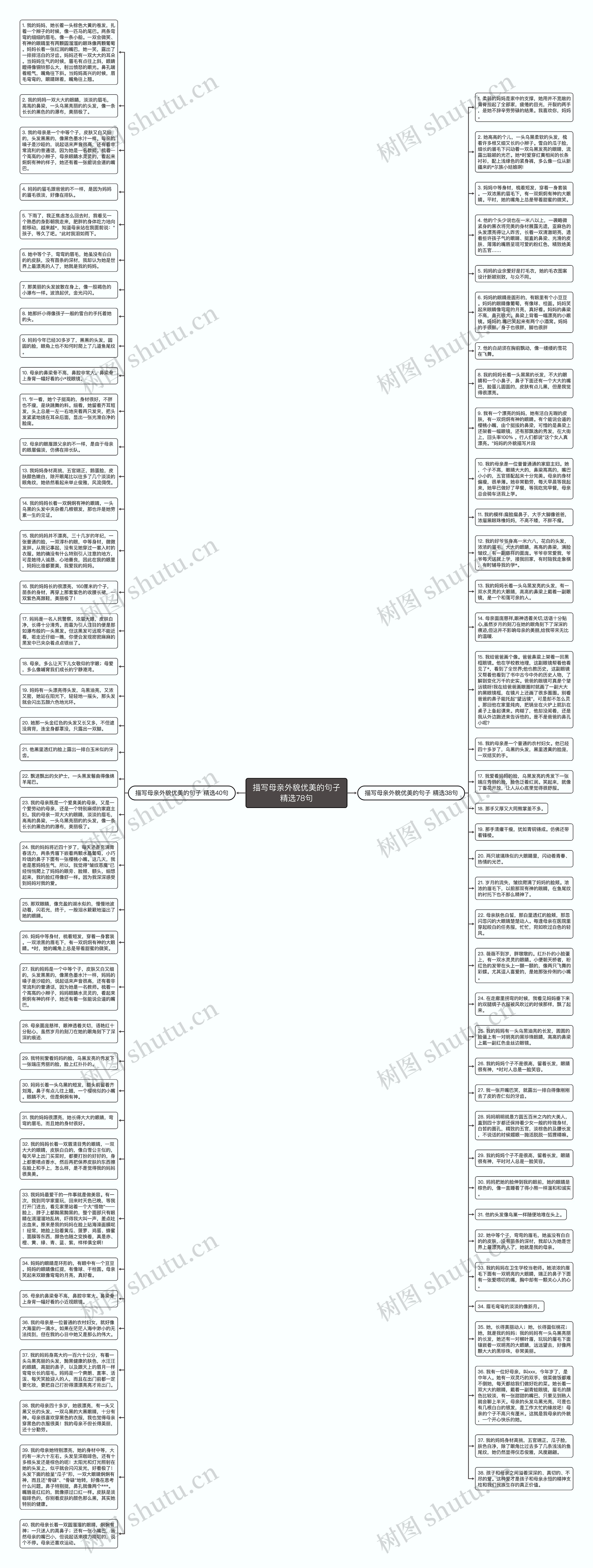 描写母亲外貌优美的句子精选78句思维导图