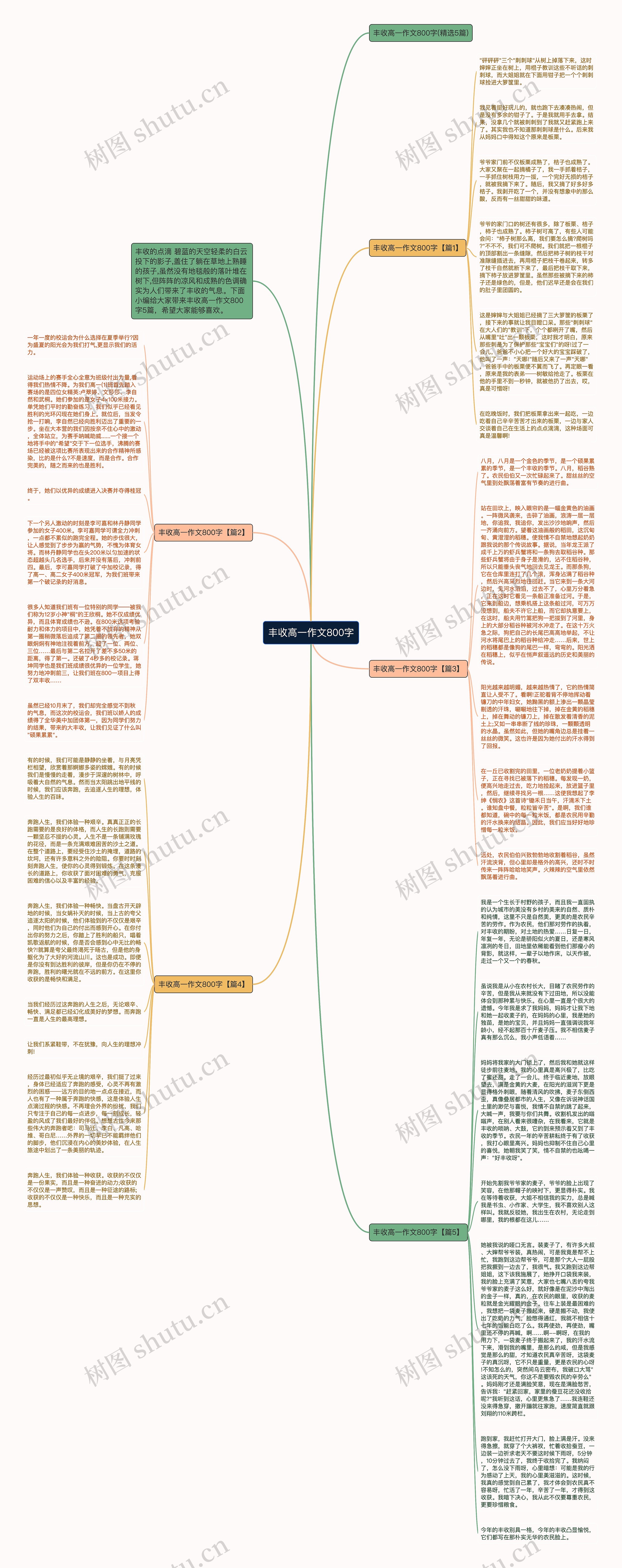 丰收高一作文800字思维导图