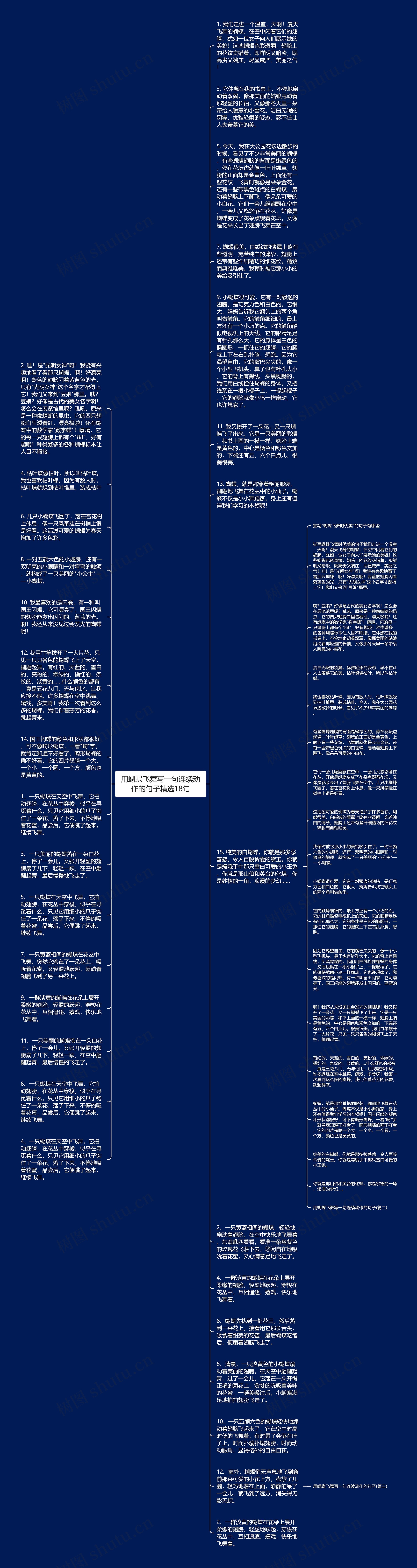 用蝴蝶飞舞写一句连续动作的句子精选18句思维导图