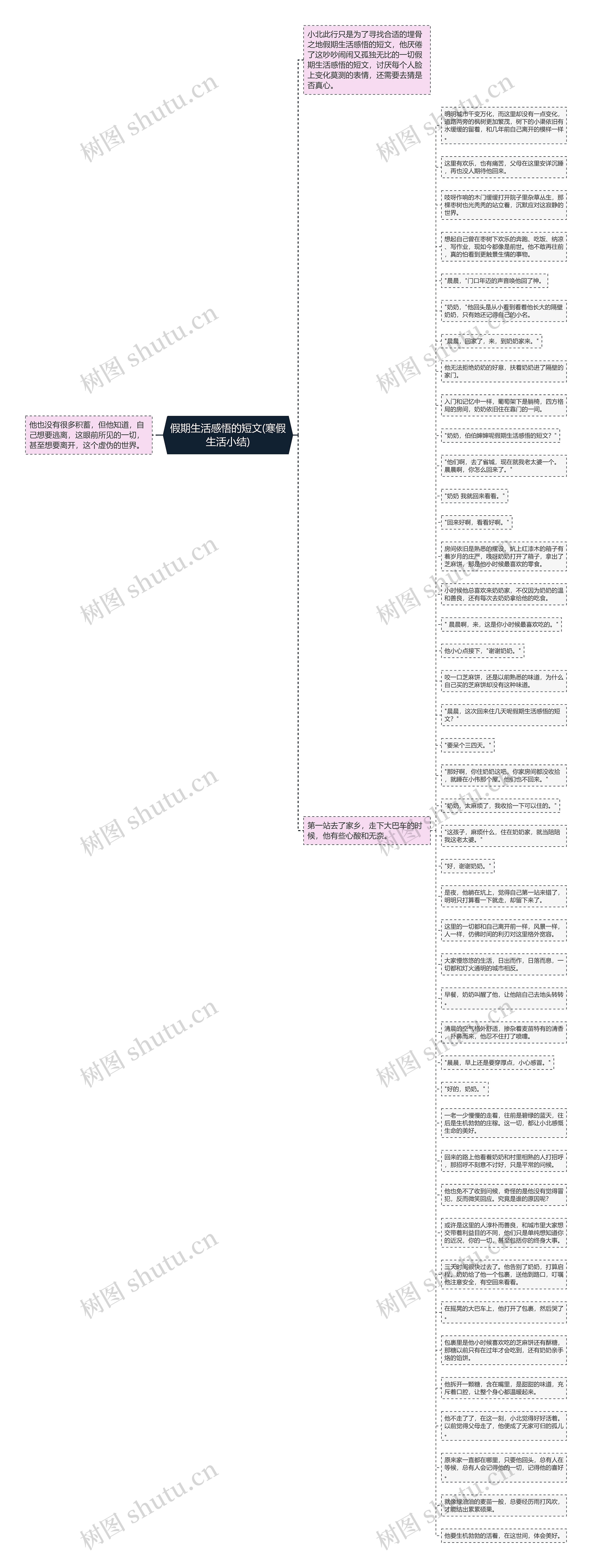 假期生活感悟的短文(寒假生活小结)思维导图