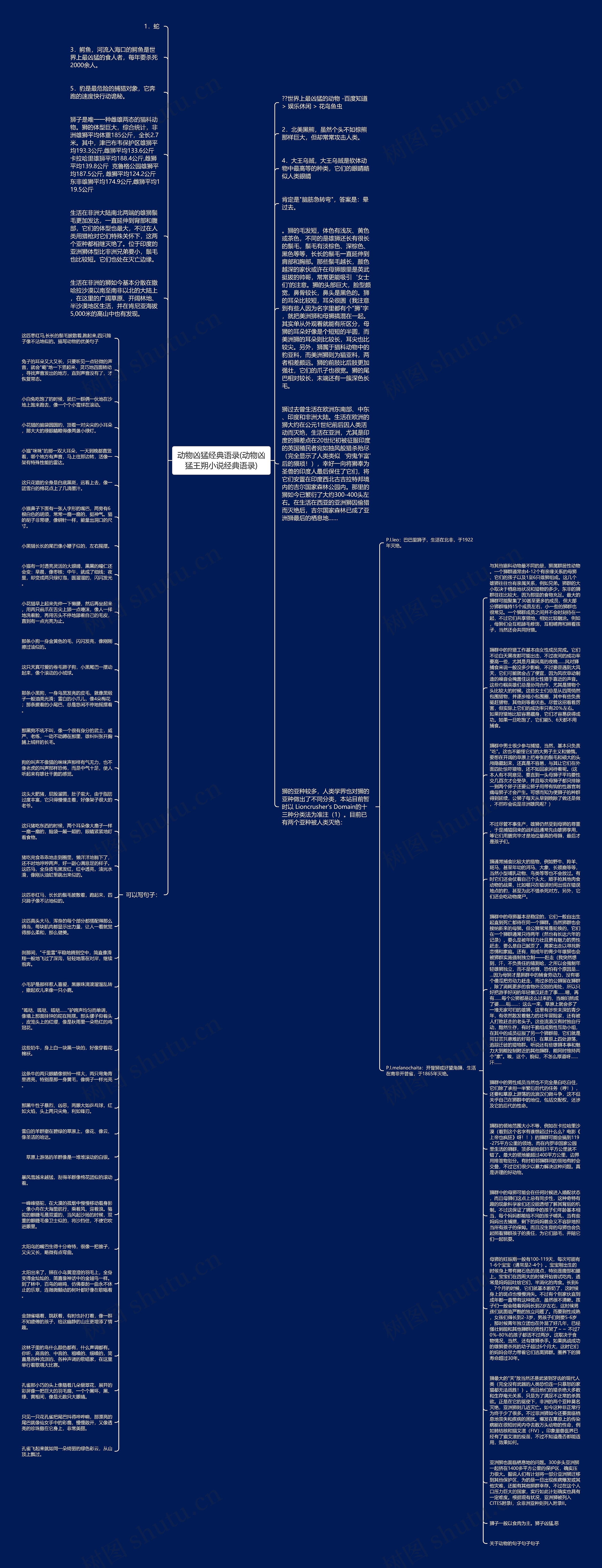 动物凶猛经典语录(动物凶猛王朔小说经典语录)思维导图