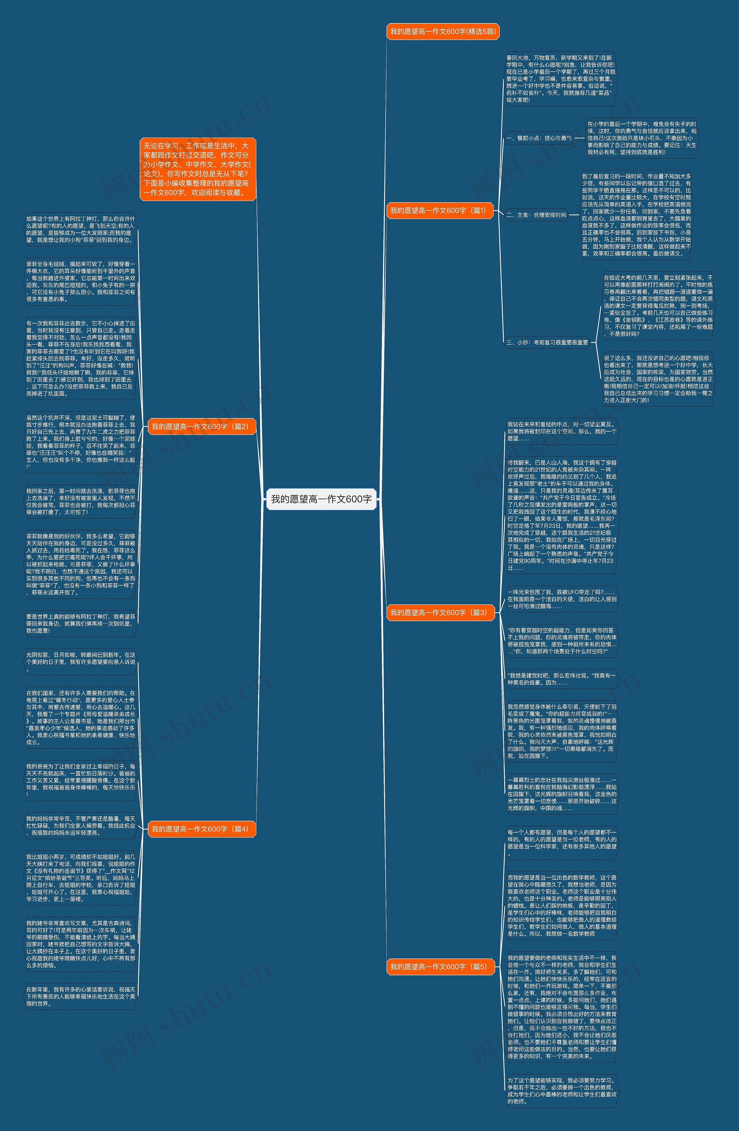 我的愿望高一作文600字思维导图
