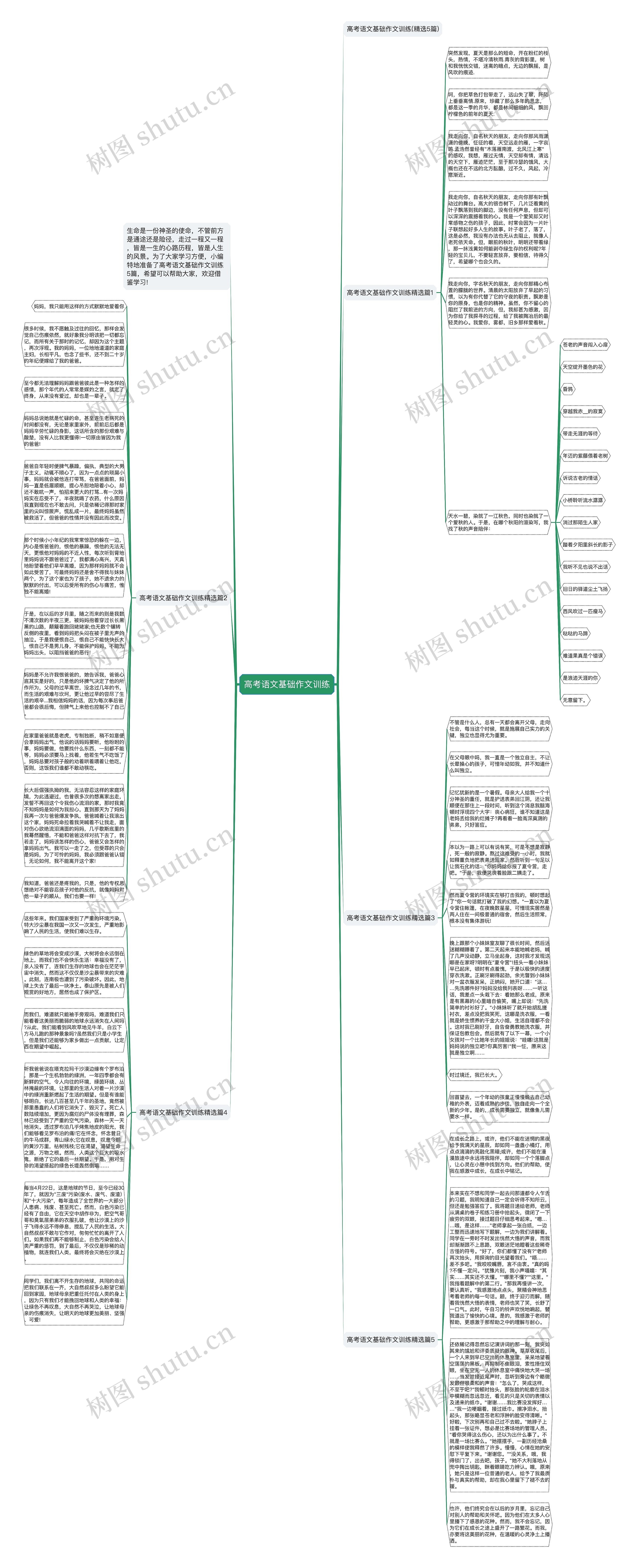 高考语文基础作文训练思维导图