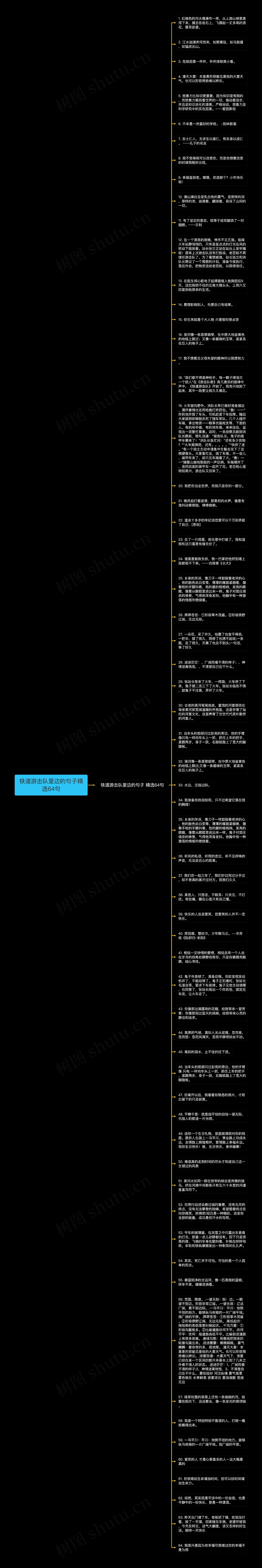 铁道游击队里边的句子精选64句