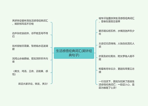 生活感悟经典词汇(期许经典句子)