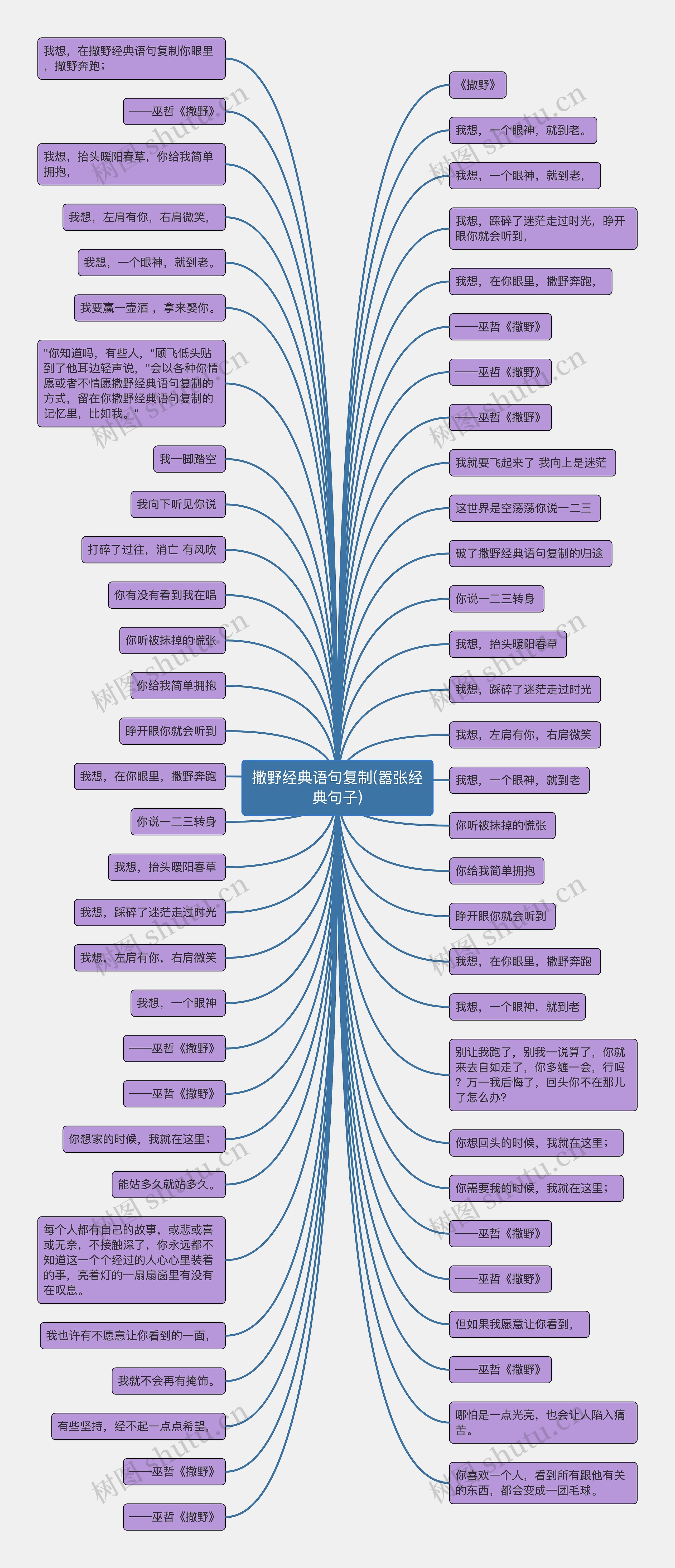 撒野经典语句复制(嚣张经典句子)思维导图