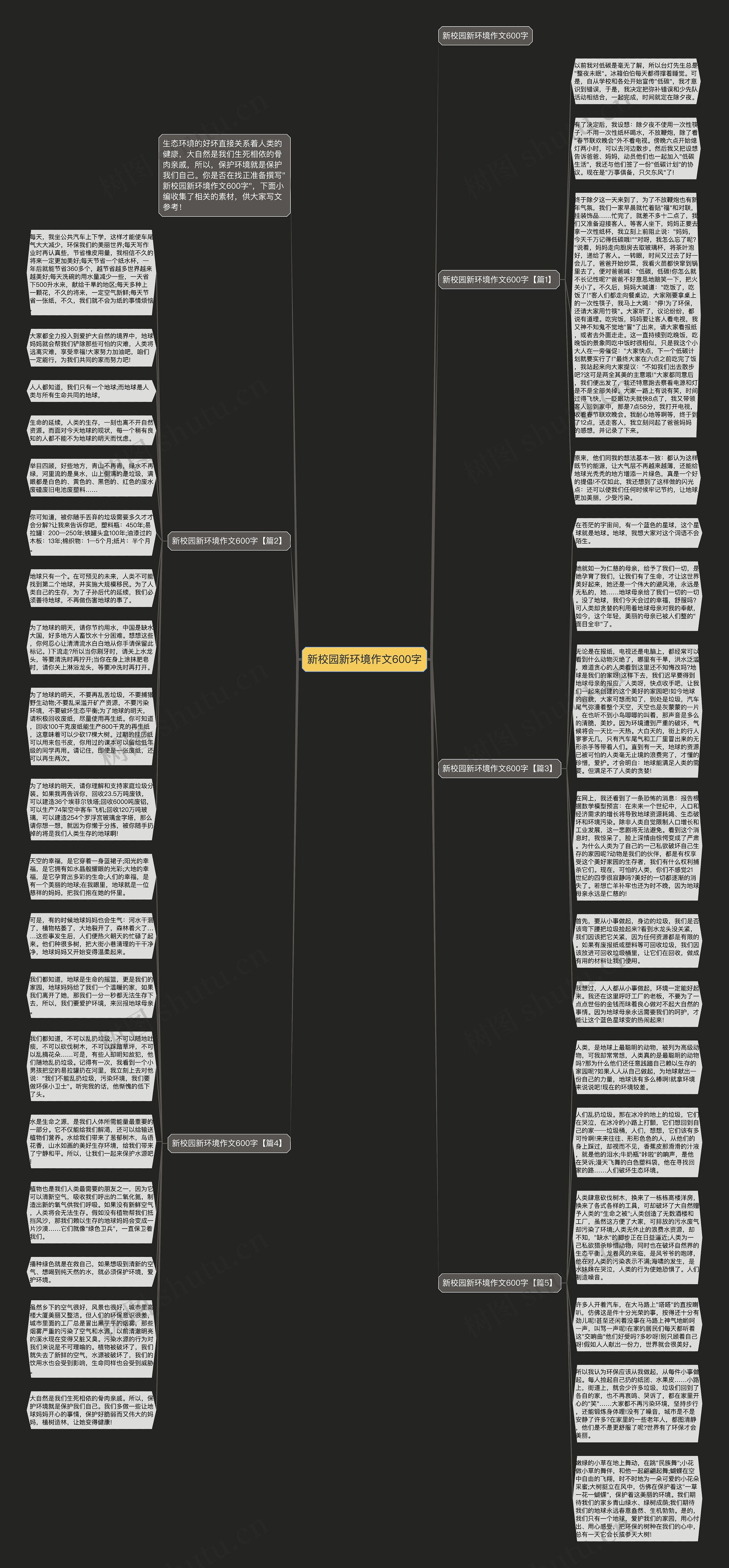 新校园新环境作文600字思维导图