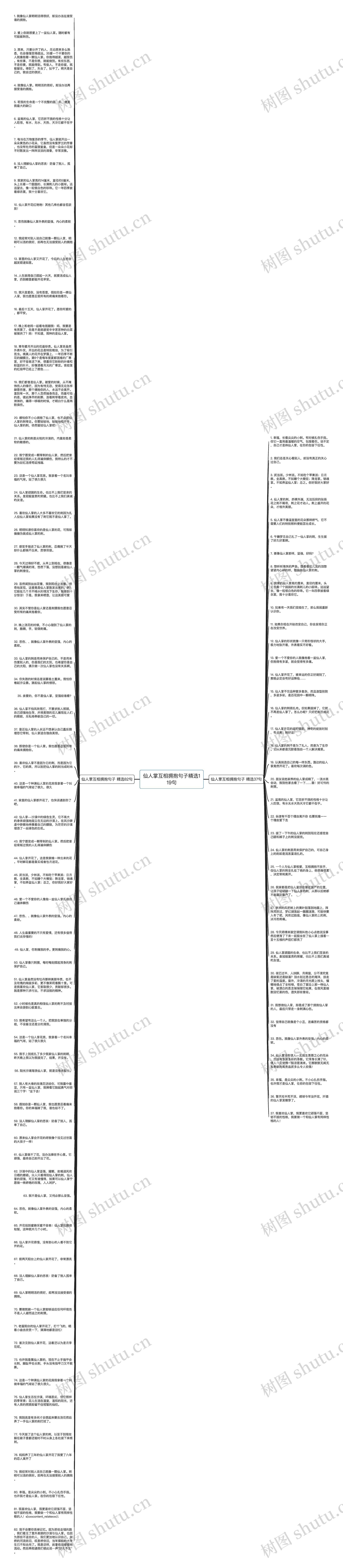 仙人掌互相拥抱句子精选119句思维导图