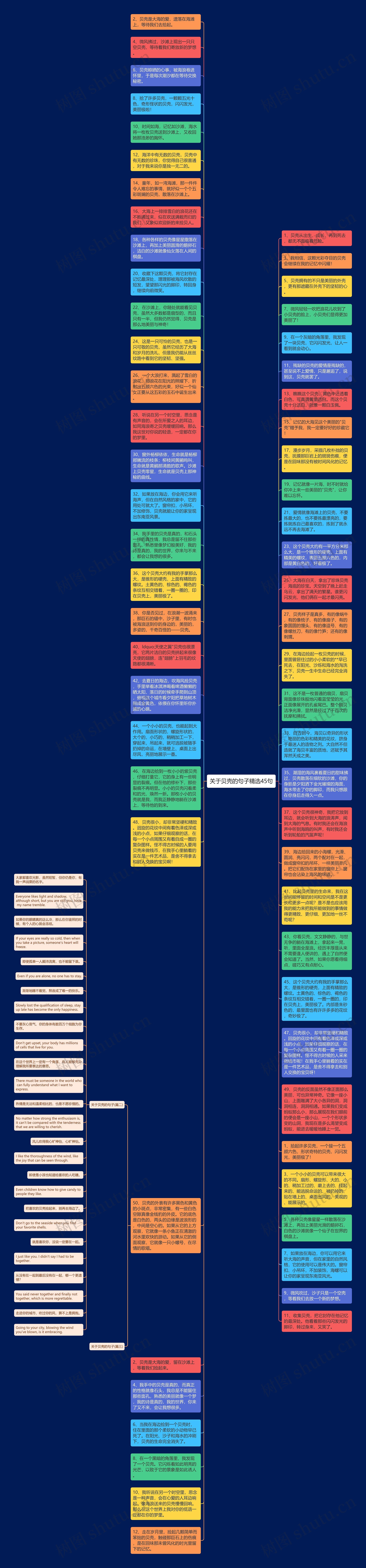 关于贝壳的句子精选45句思维导图