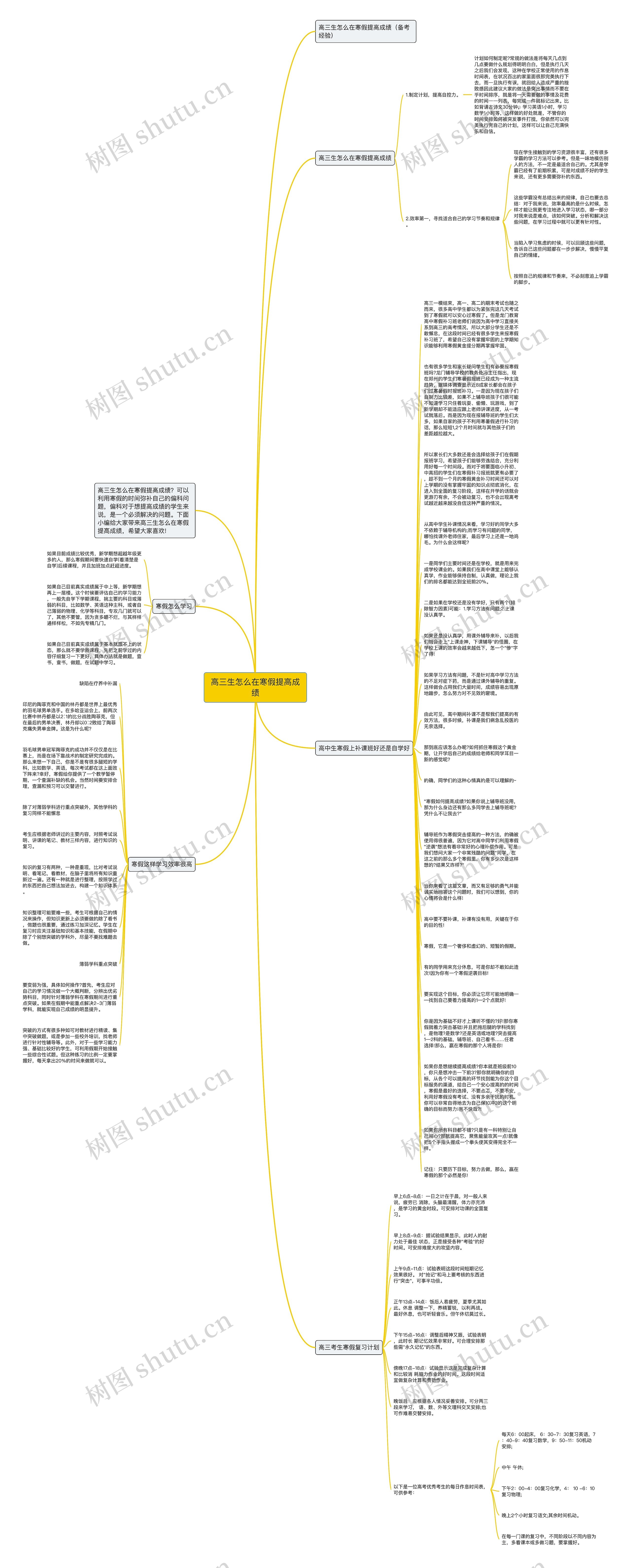 高三生怎么在寒假提高成绩思维导图