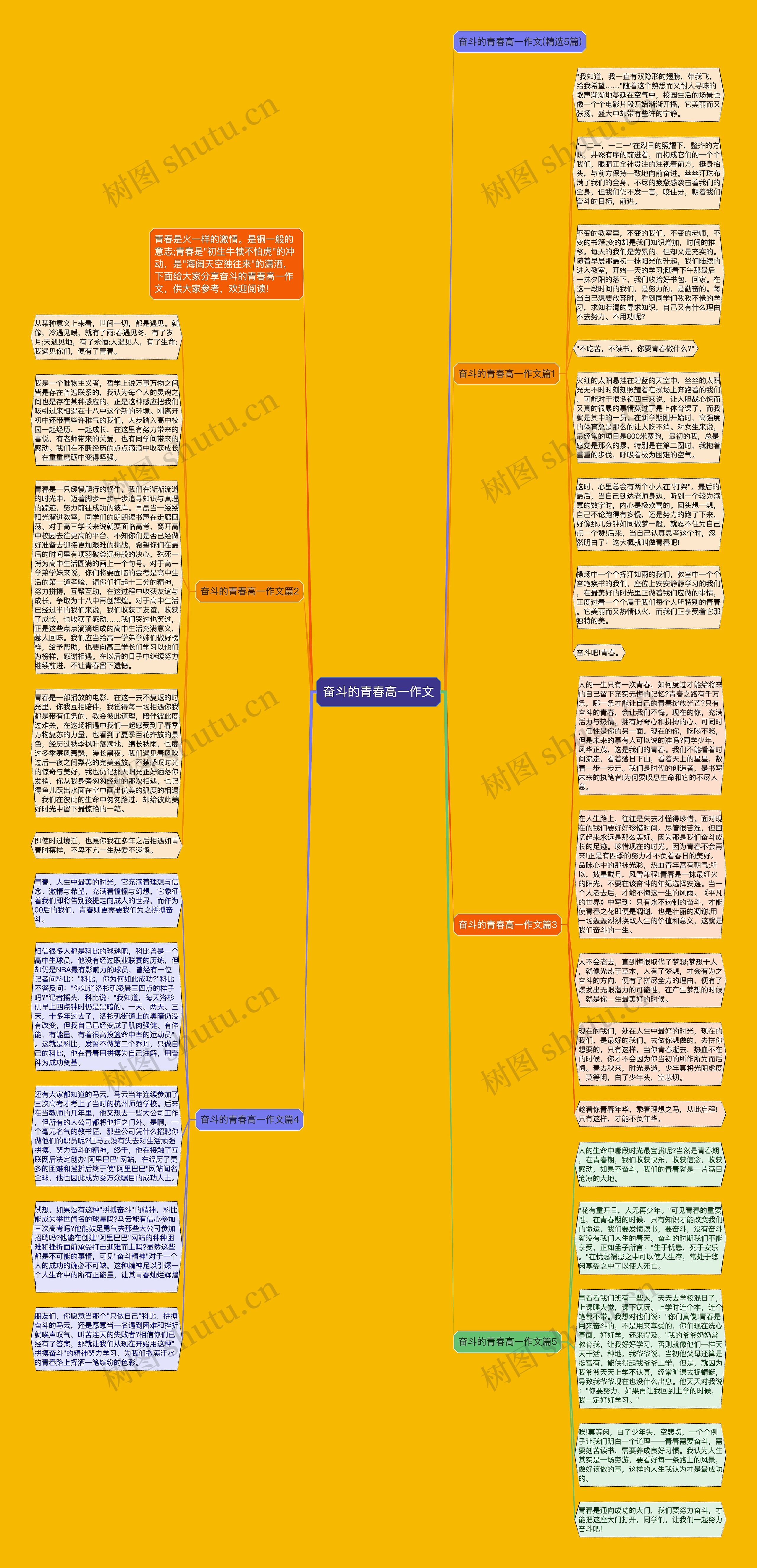 奋斗的青春高一作文思维导图