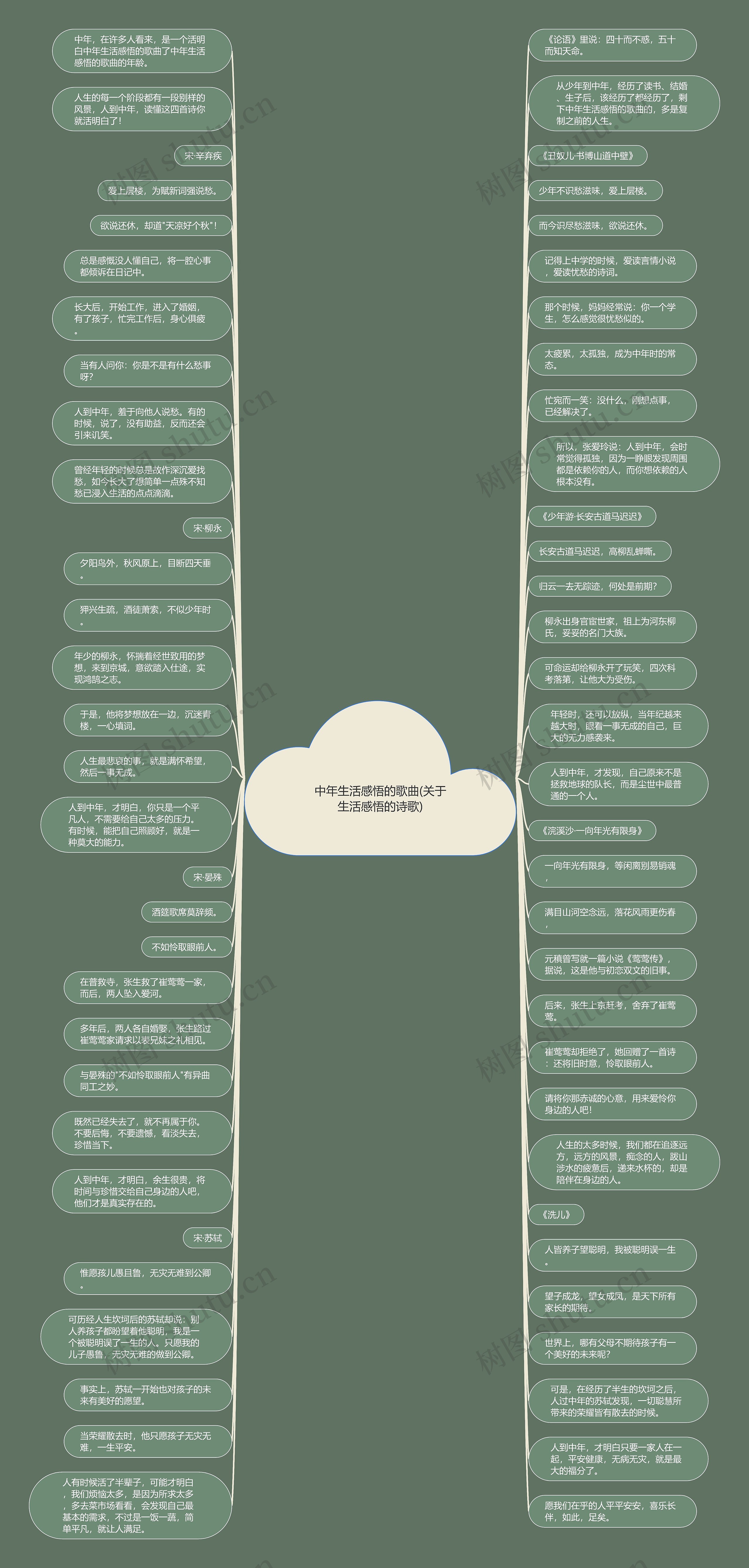 中年生活感悟的歌曲(关于生活感悟的诗歌)思维导图