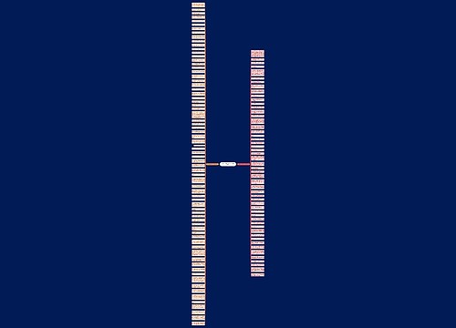 形容笑声动作的句子(精选124句)